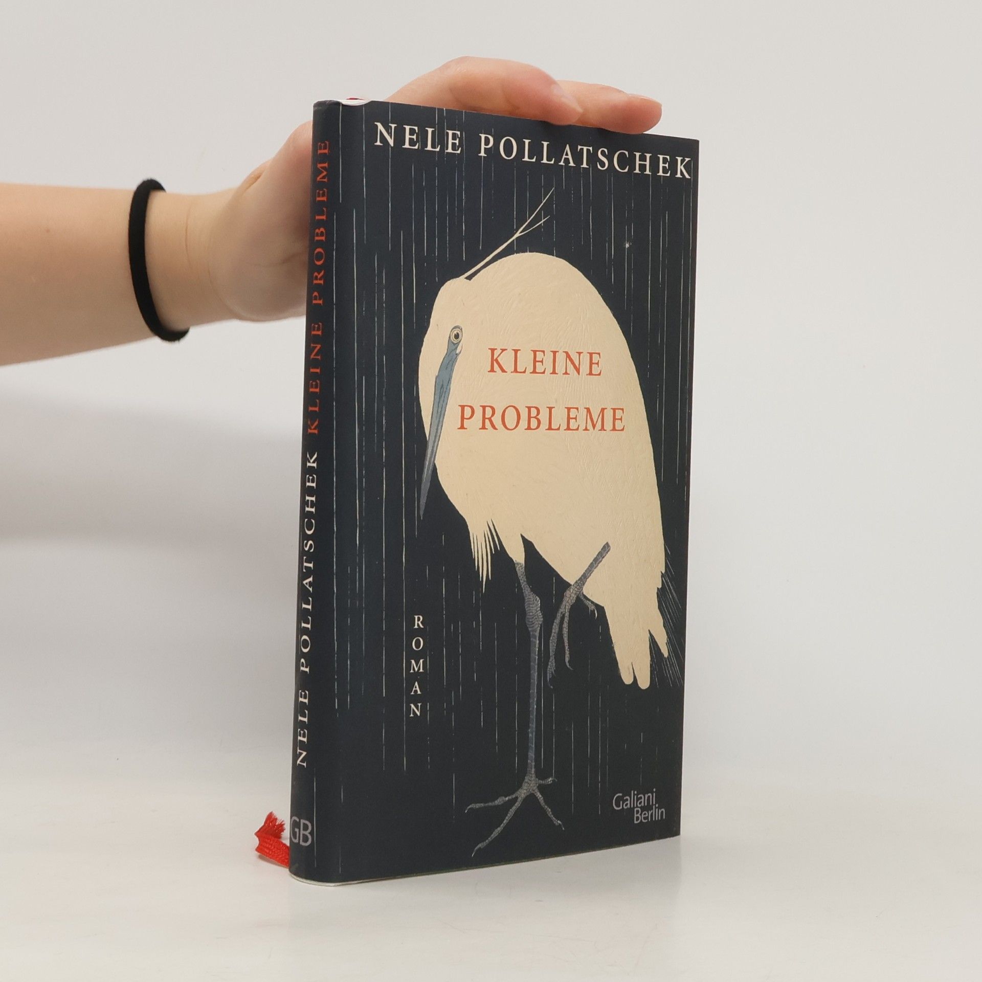 Nele Pollatschek Kleine Probleme