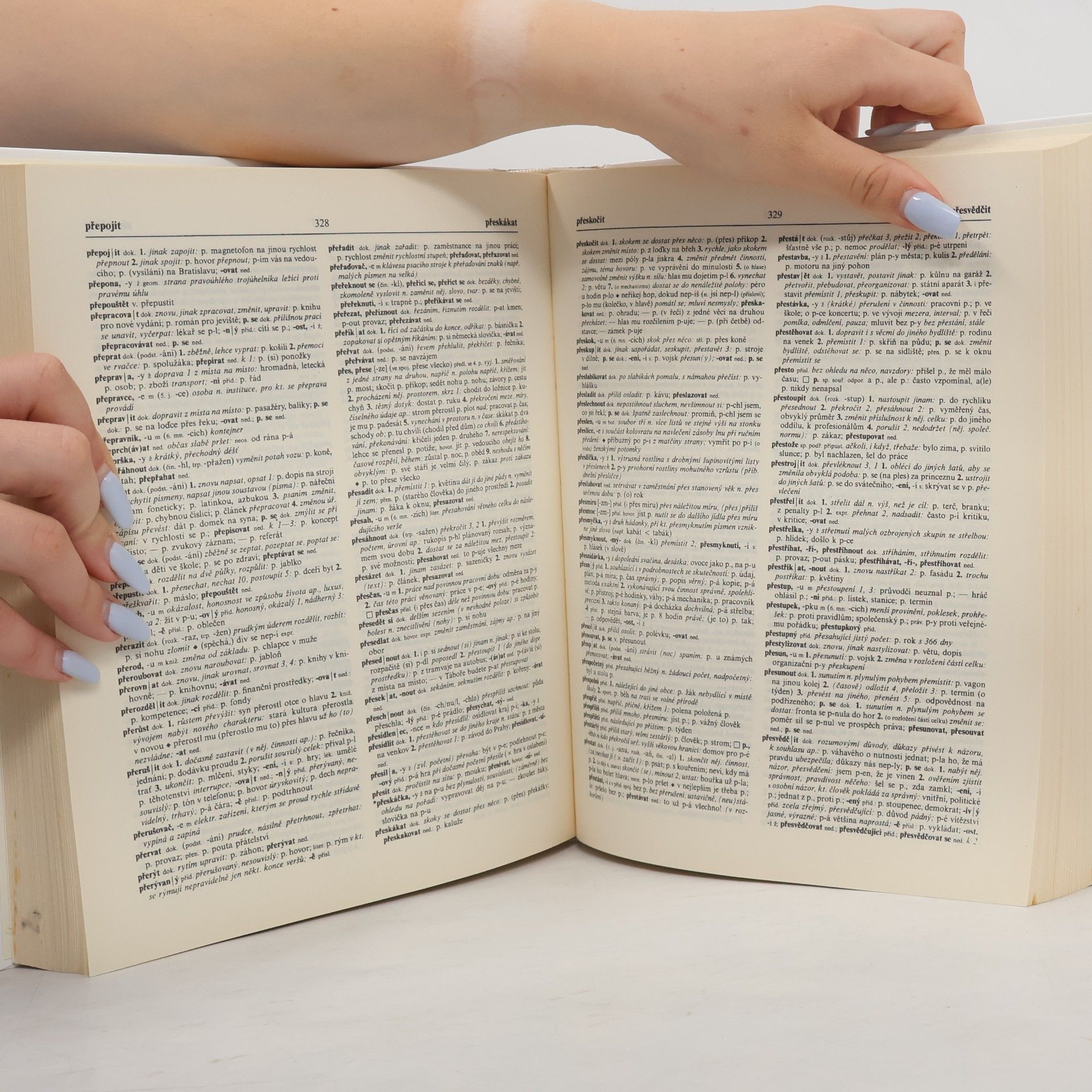 Autorenkollektiv Slovník spisovné češtiny pro školu a veřejnost