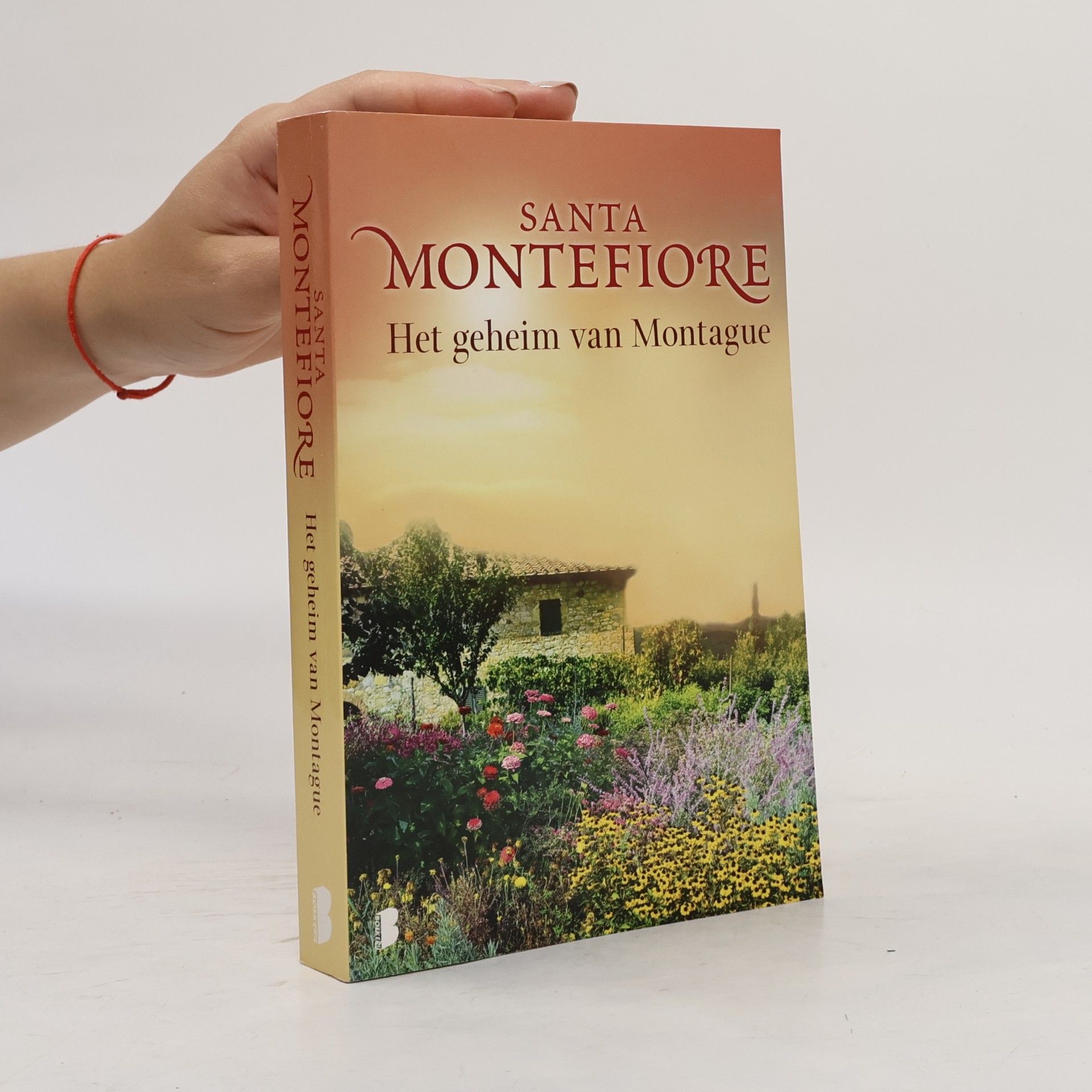 Santa Montefiore Het geheim van Montague