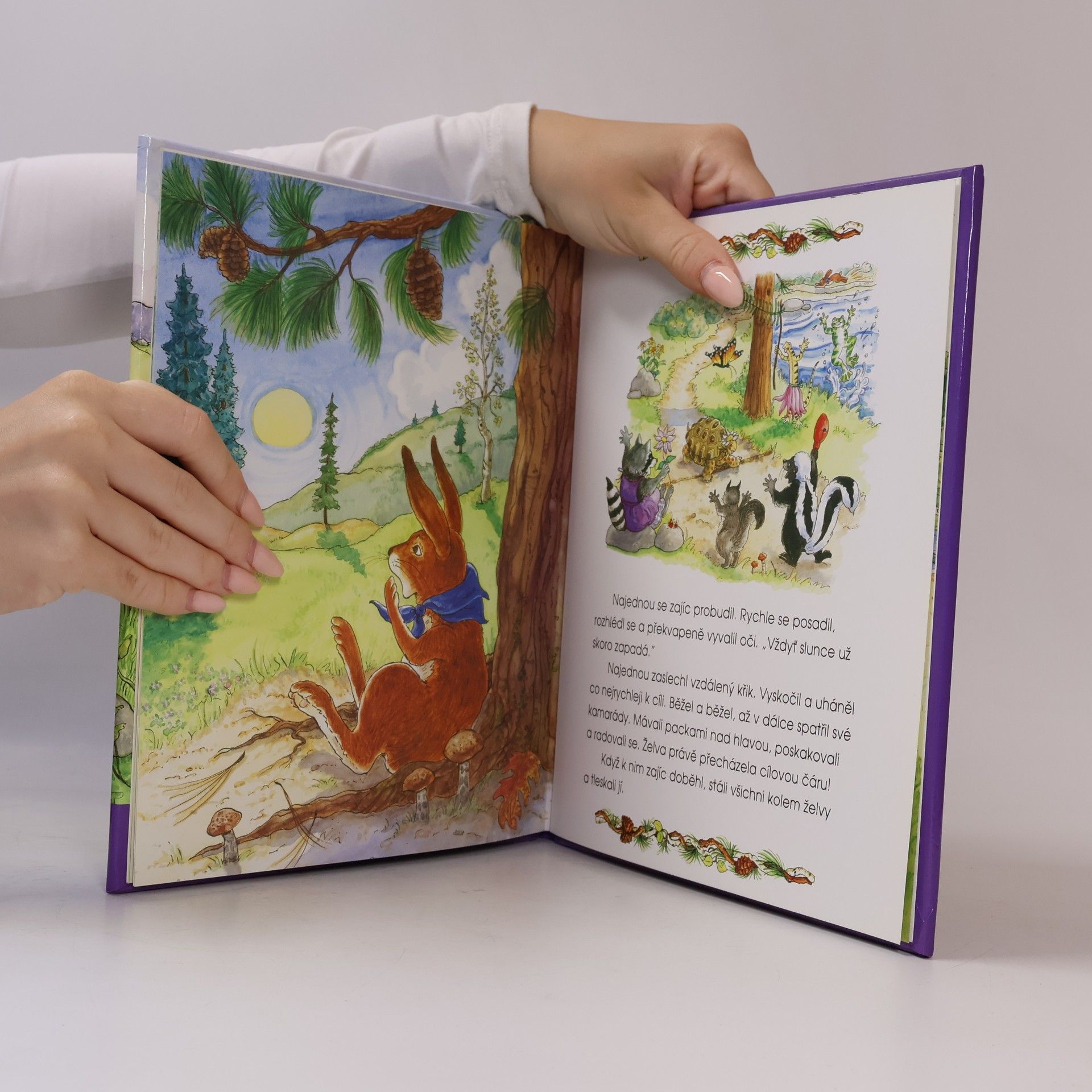 Joanne Barkan Želva a zajíc : příběh o odhodlání