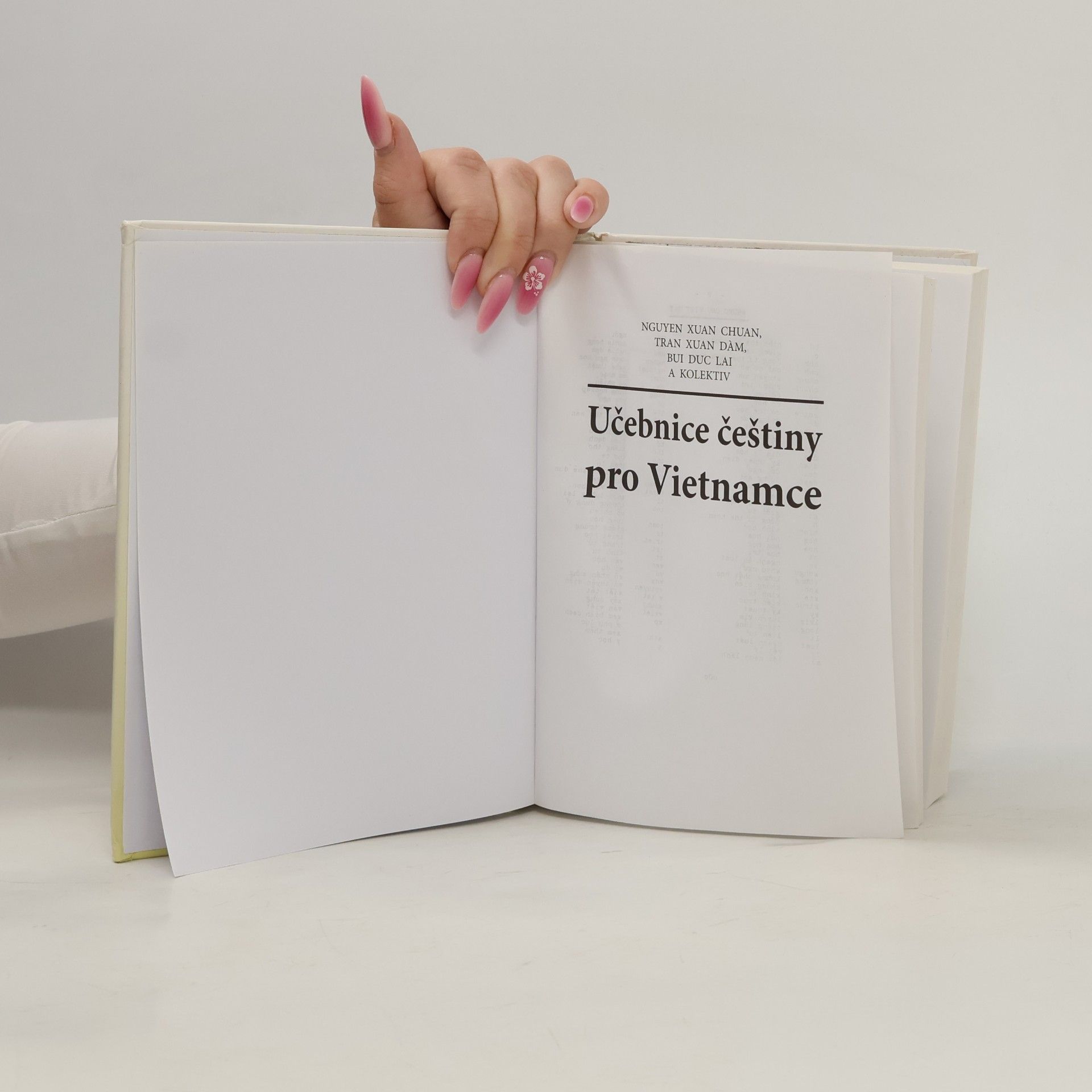 Kolektiv autorů Učebnice češtiny pro Vietnamce