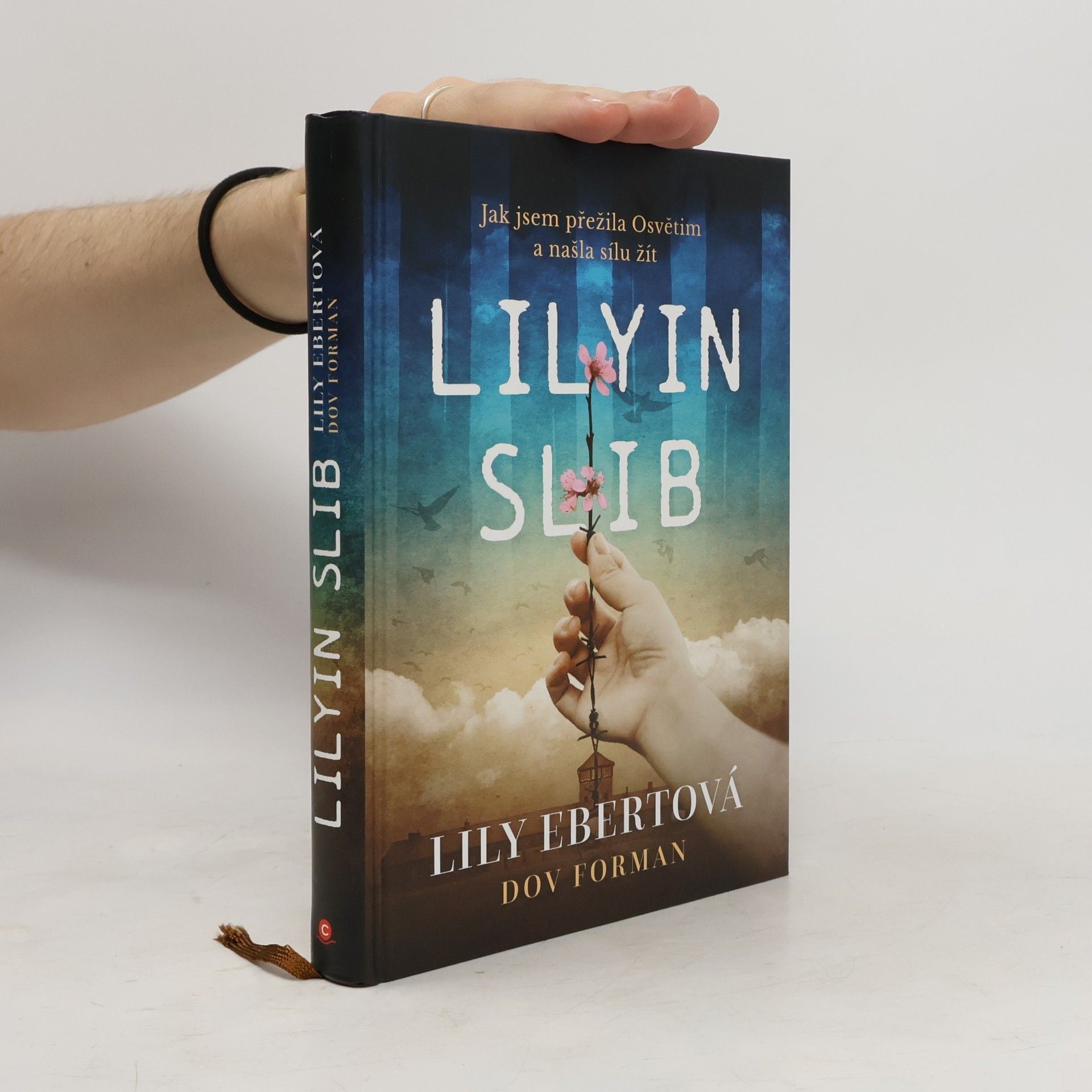 Lily Ebert Lilyin slib