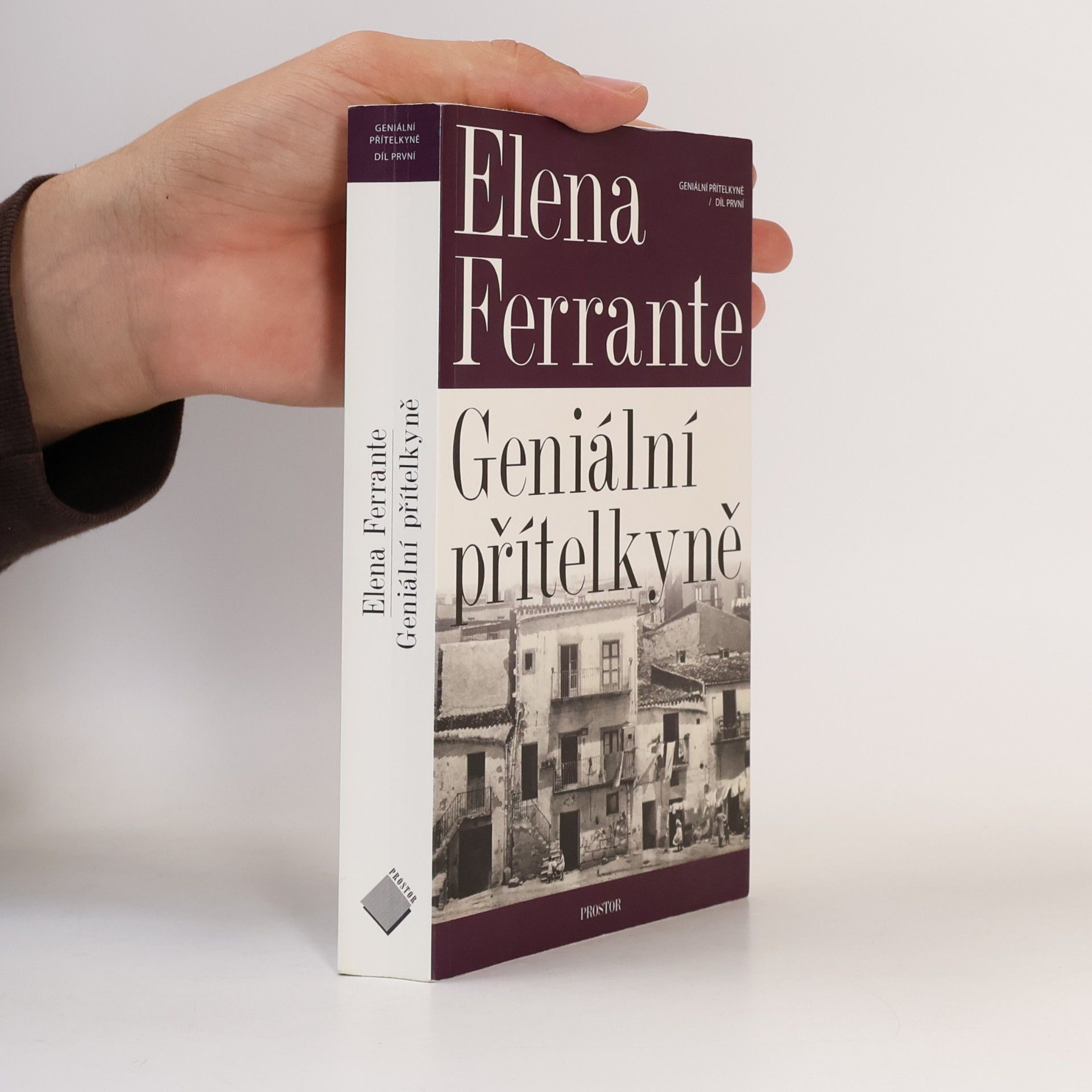 Elena Ferrante Geniální přítelkyně 1. Dětství a dospívání