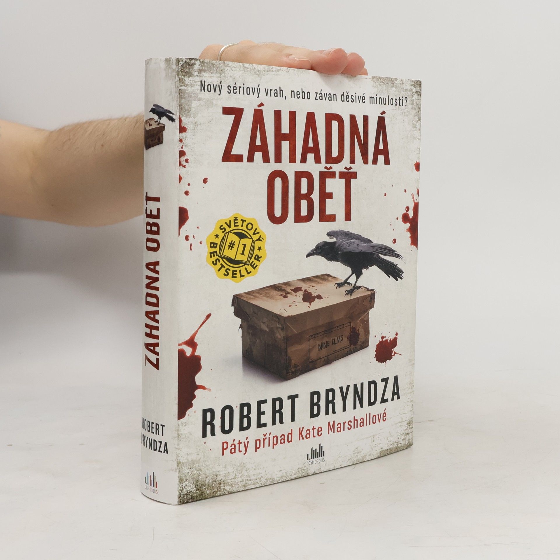 Robert Bryndza Záhadná oběť