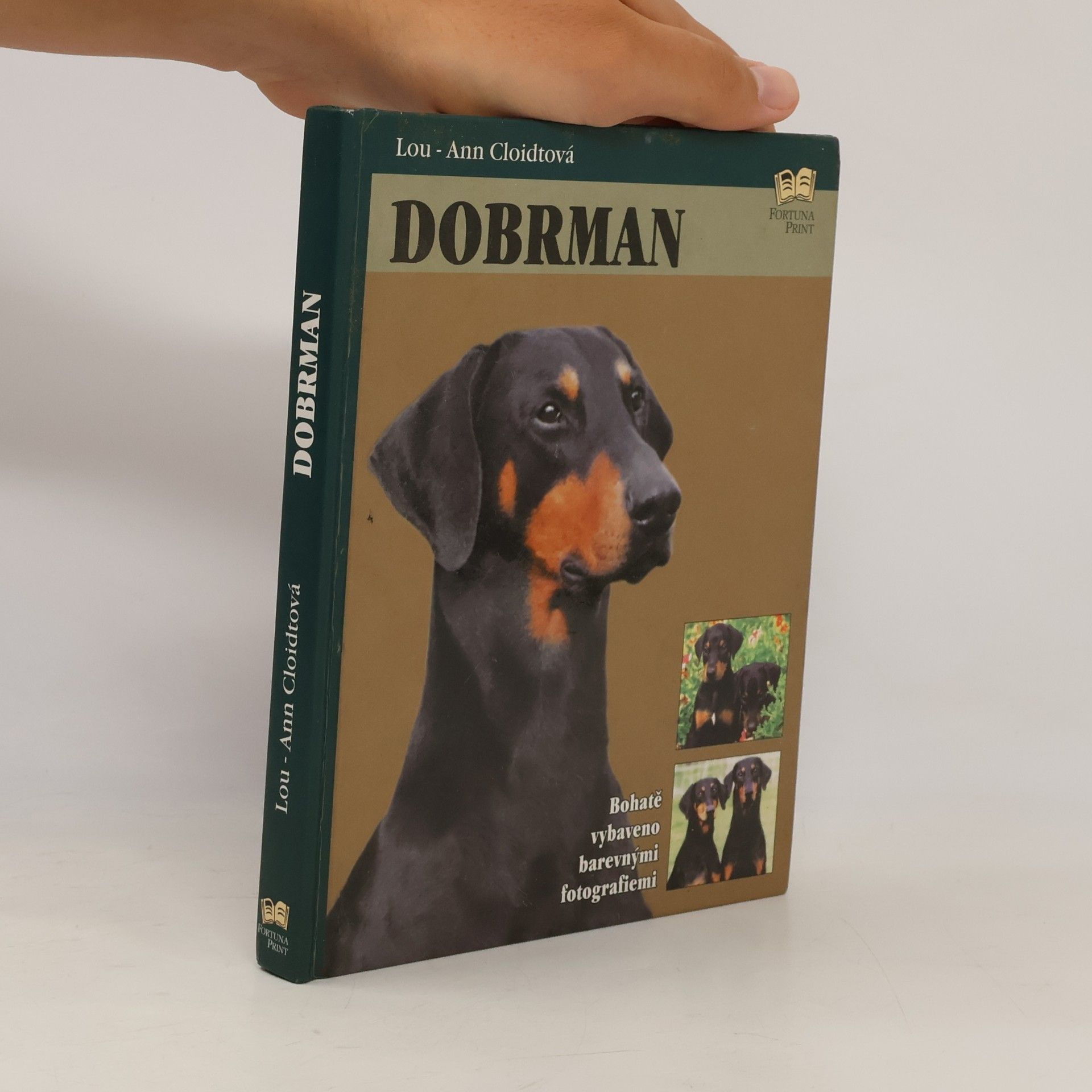 Lou Ann Cloidt Dobrman
