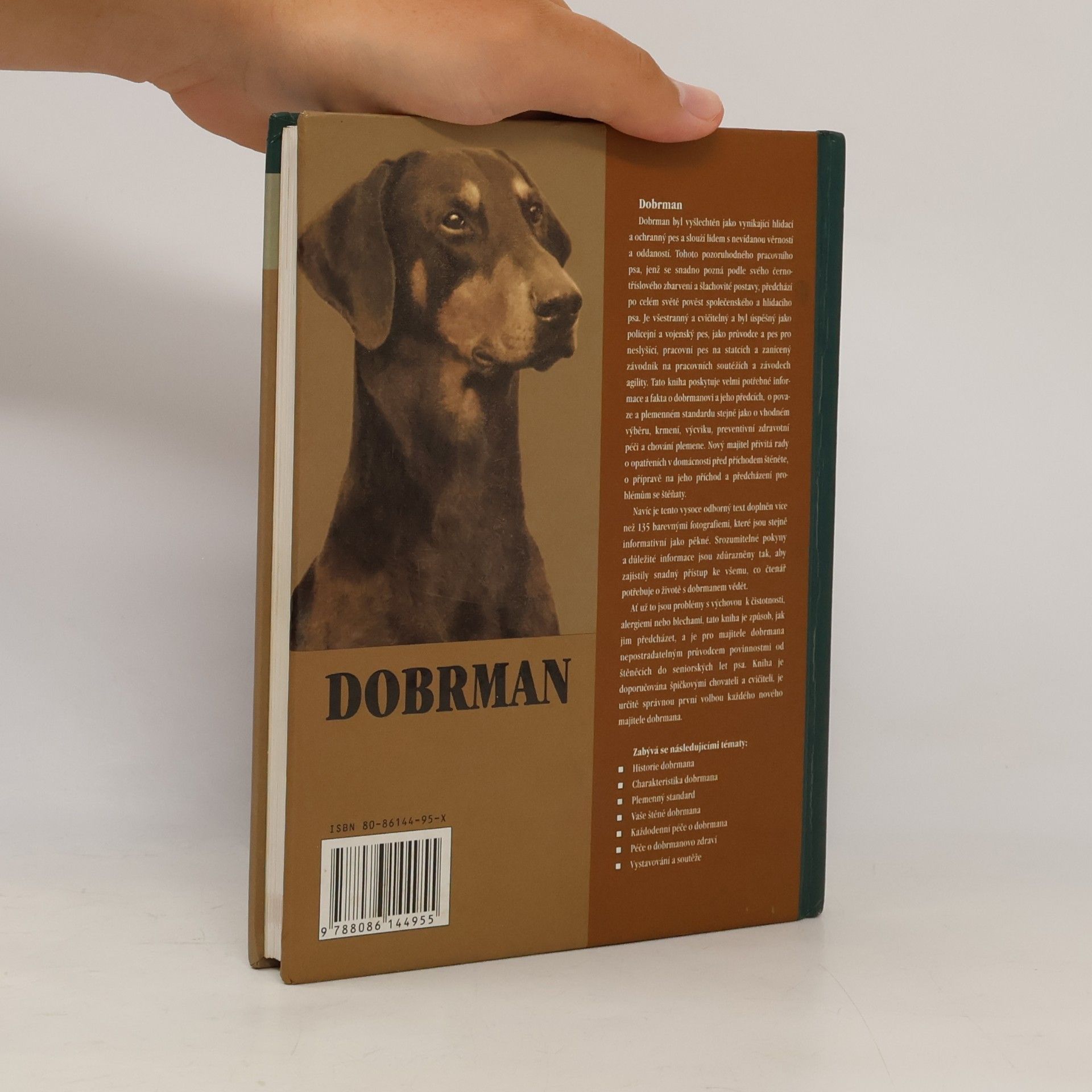 Lou Ann Cloidt Dobrman