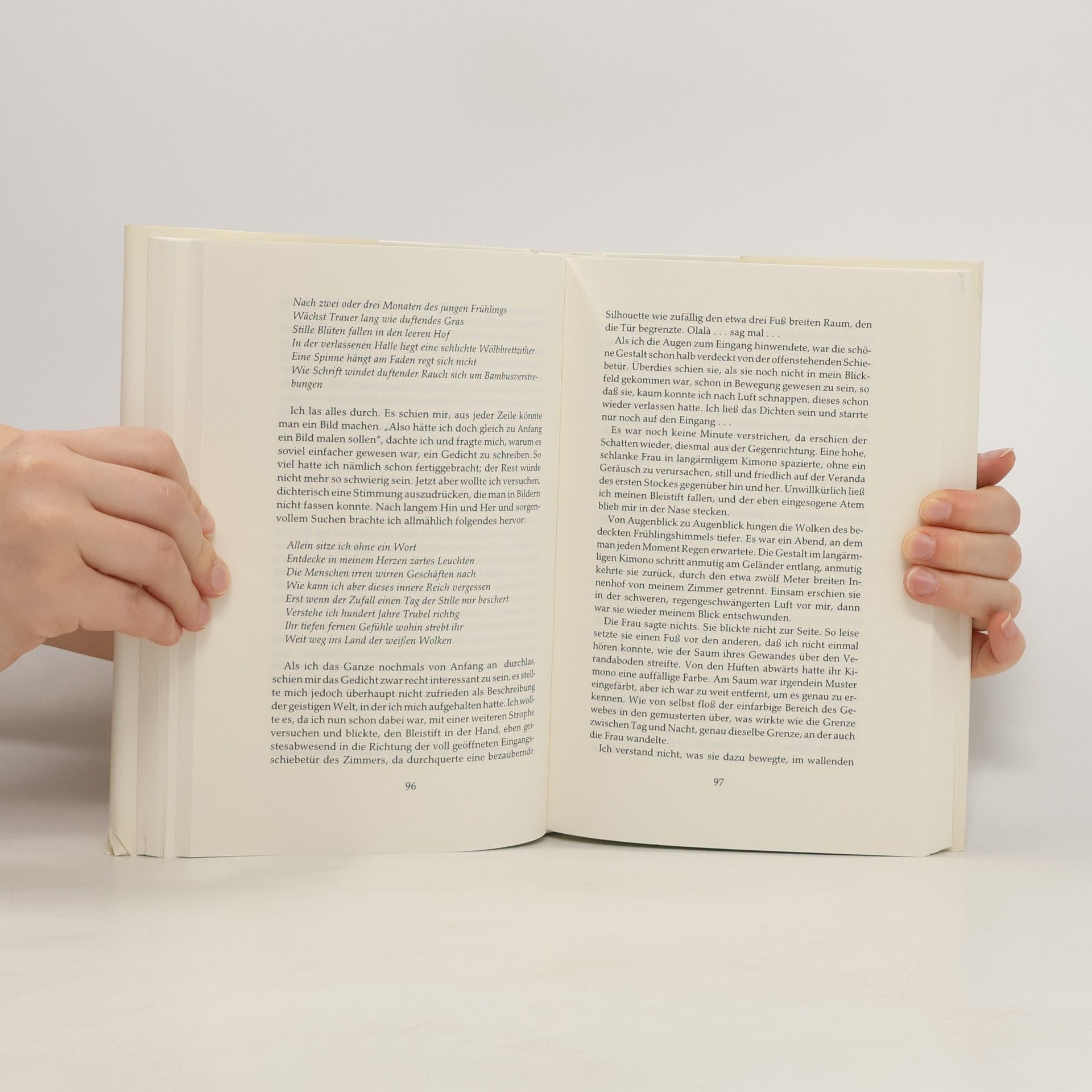 Natsume Sōseki Das Graskissen-Buch