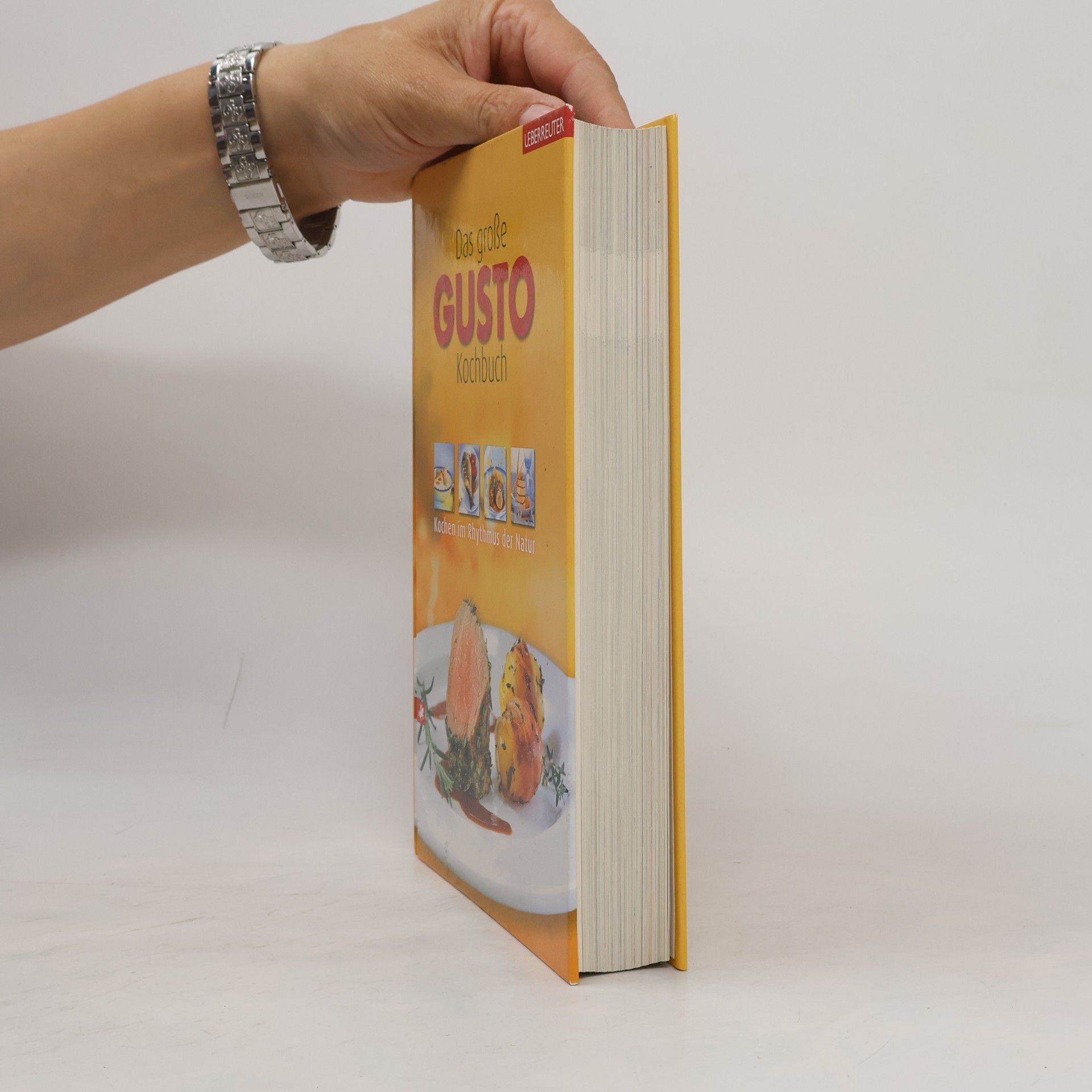 Barbara Haiden Das große Gusto-Kochbuch