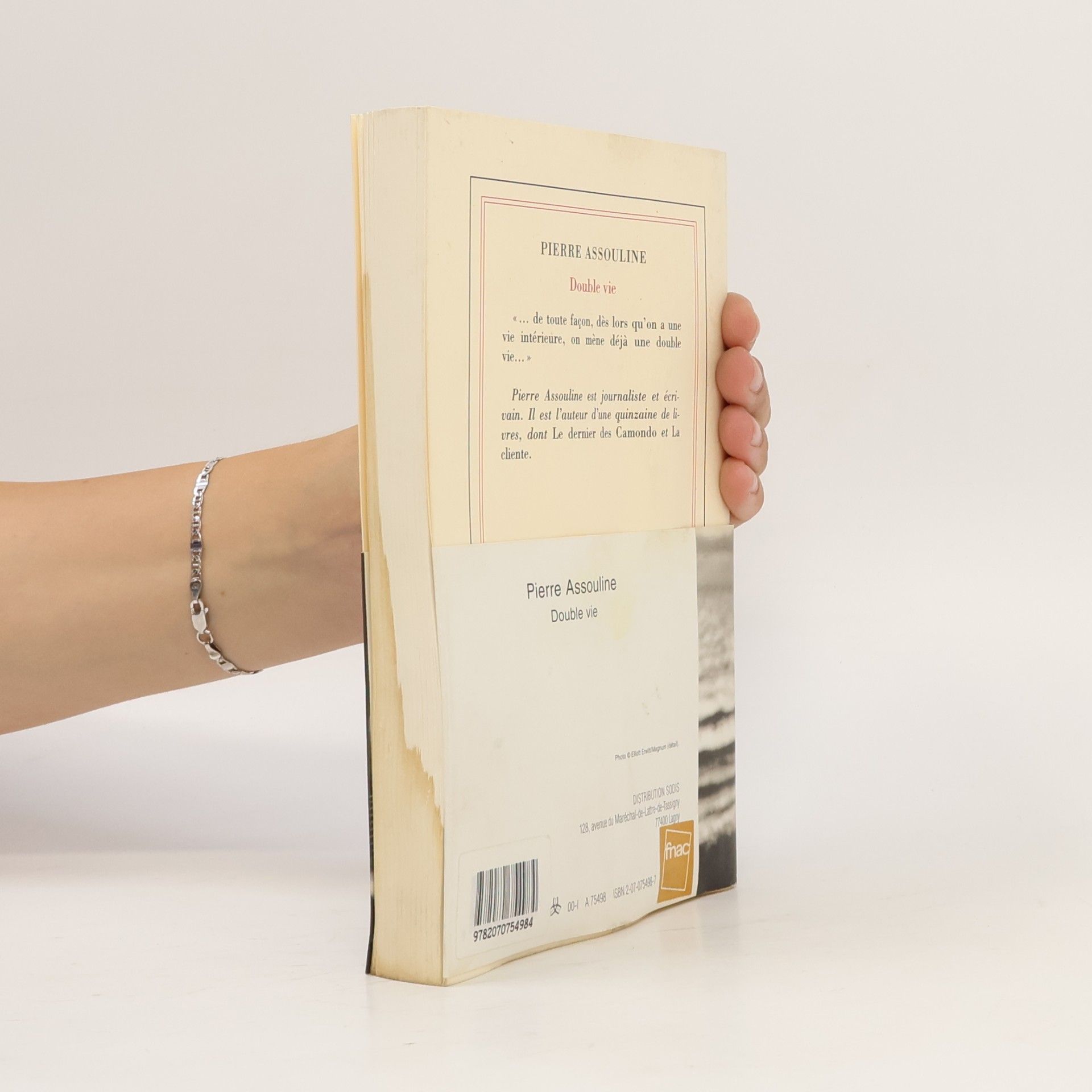 Pierre Assouline Double vie