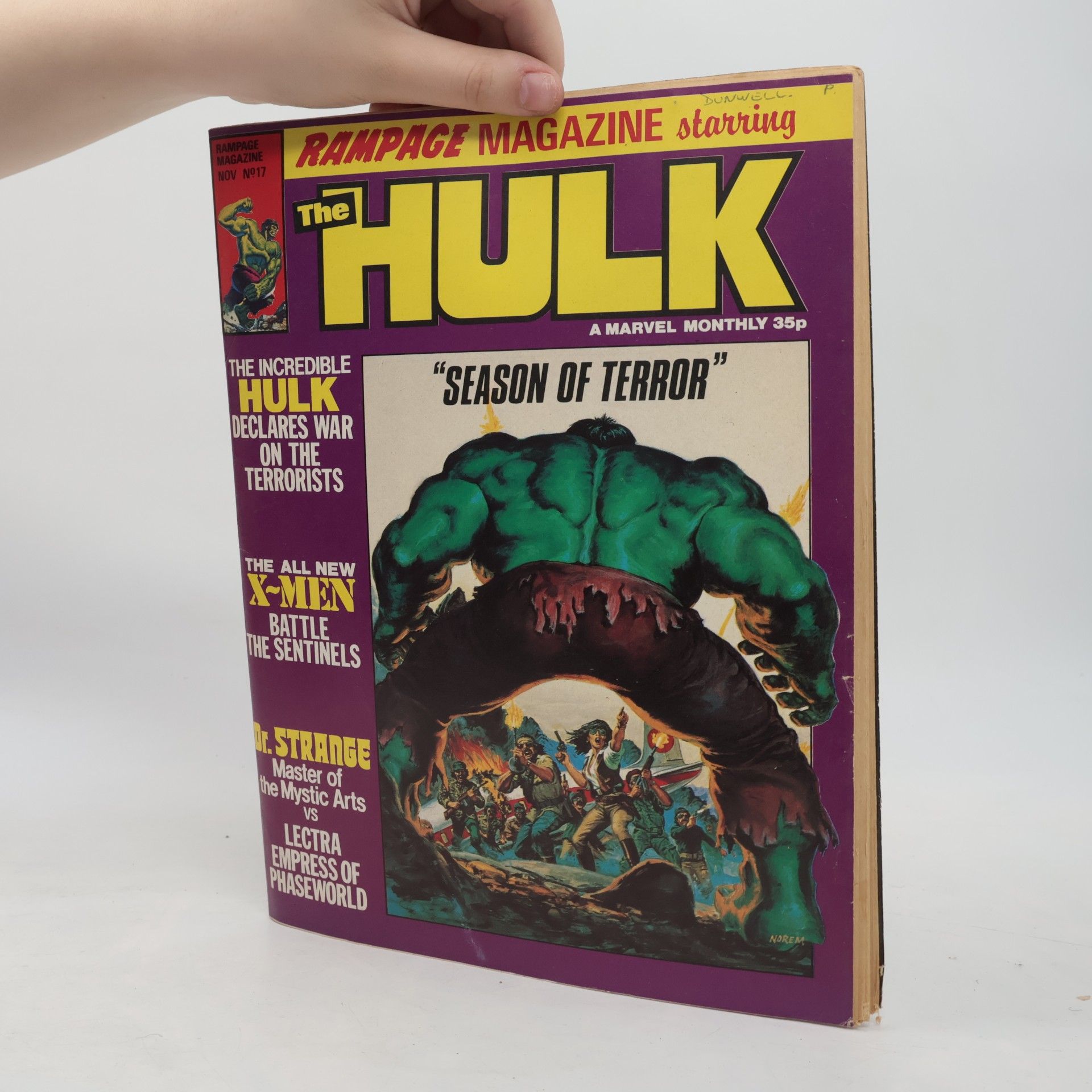 Autorenkollektiv The Hulk 17