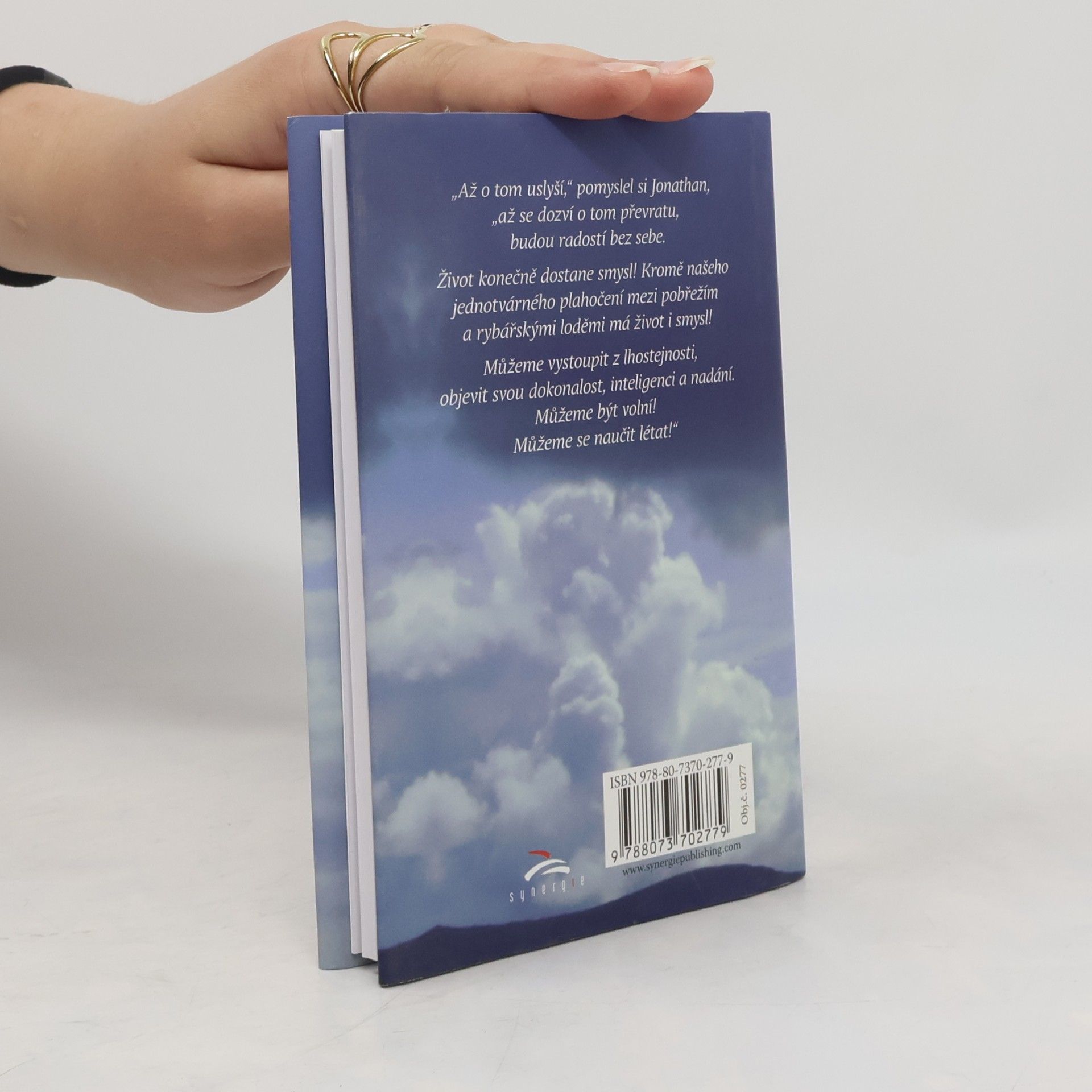 Richard Bach Jonathan Livingston Racek