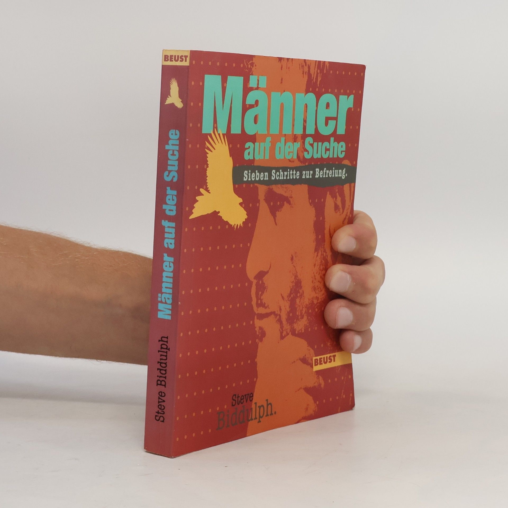 Steve Biddulph Männer auf der Suche