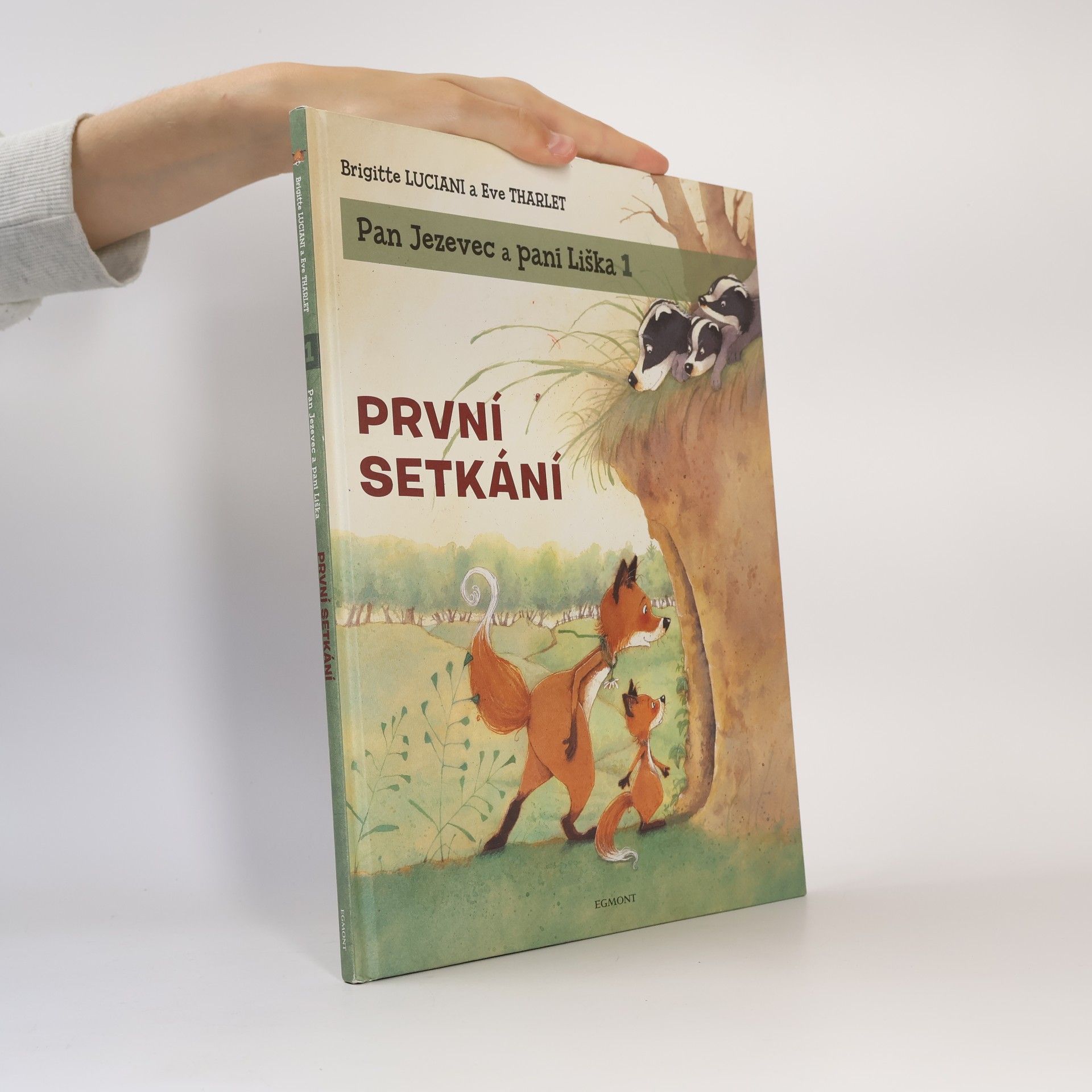 Brigitte Luciani První setkání