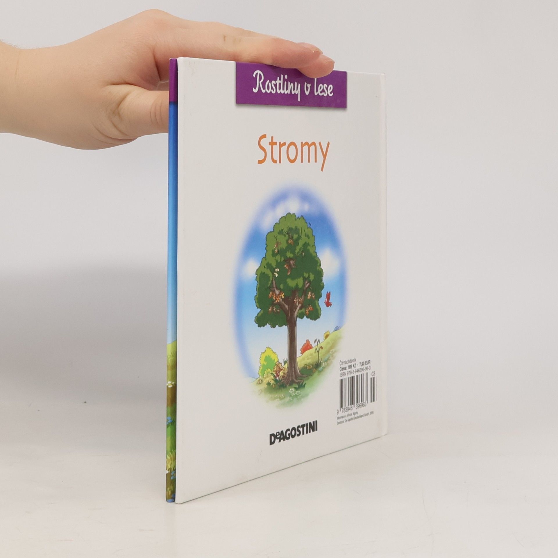 Kolektiv autorů Rostliny v lese 11. Stromy