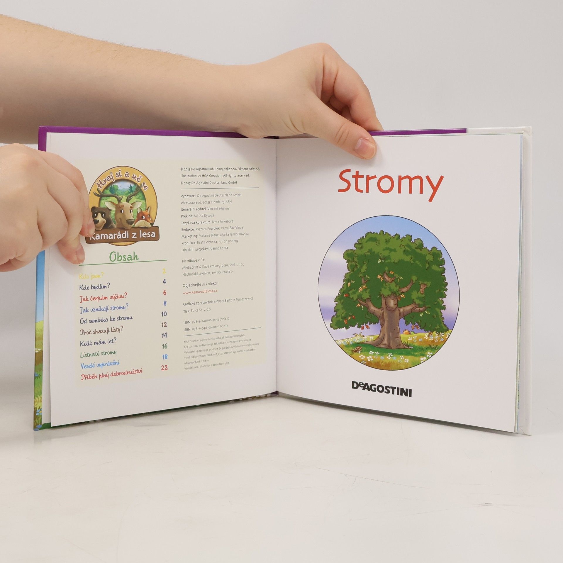 Kolektiv autorů Rostliny v lese 11. Stromy
