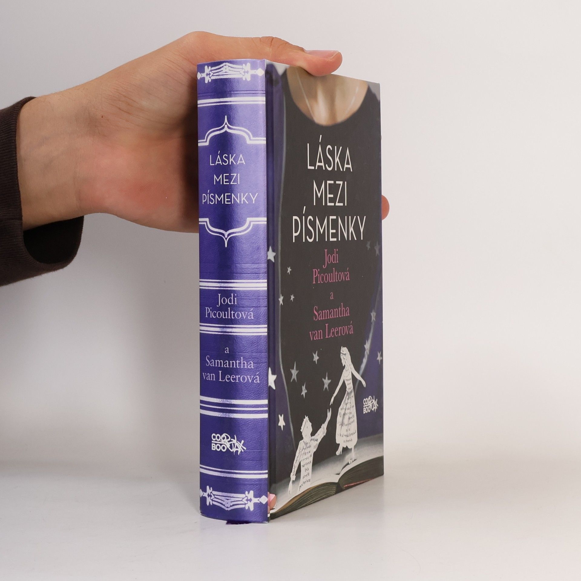 Jodi Picoult Láska mezi písmenky