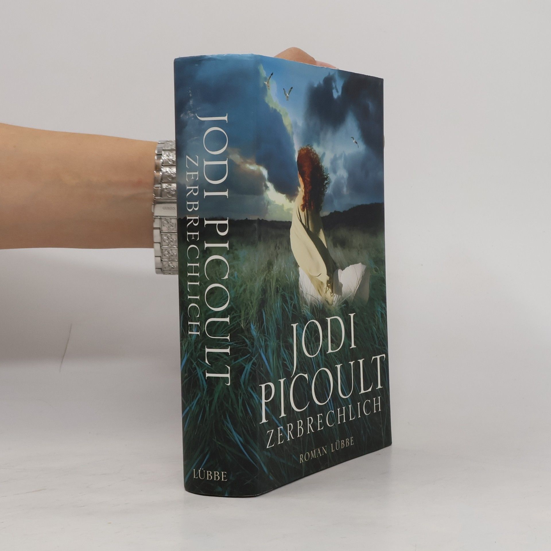 Jodi Picoult Zerbrechlich
