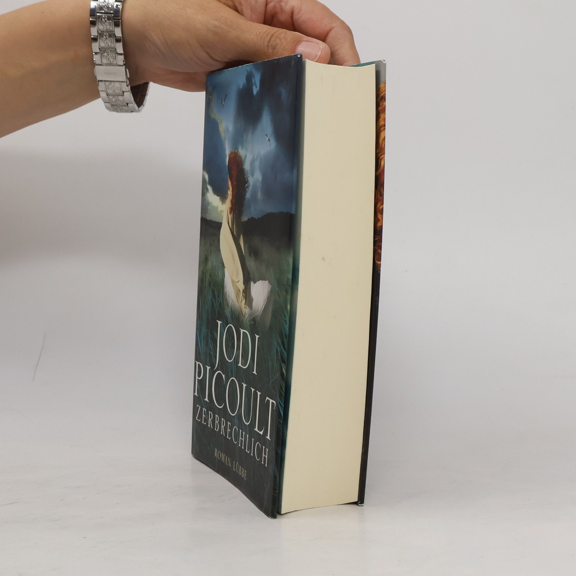 Jodi Picoult Zerbrechlich
