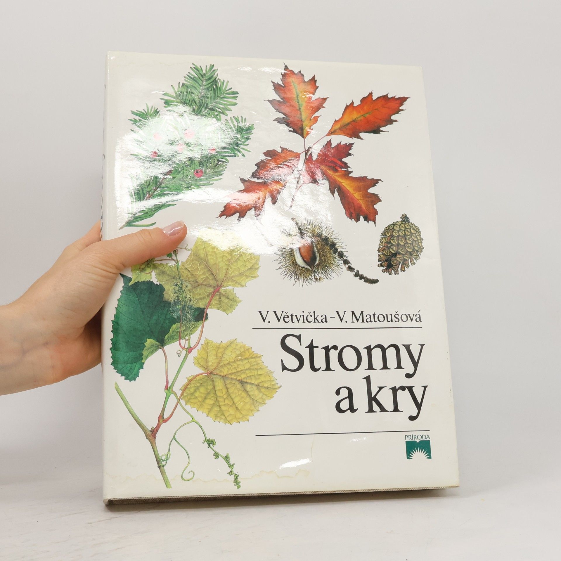 Vlasta Matoušová Stromy a kry