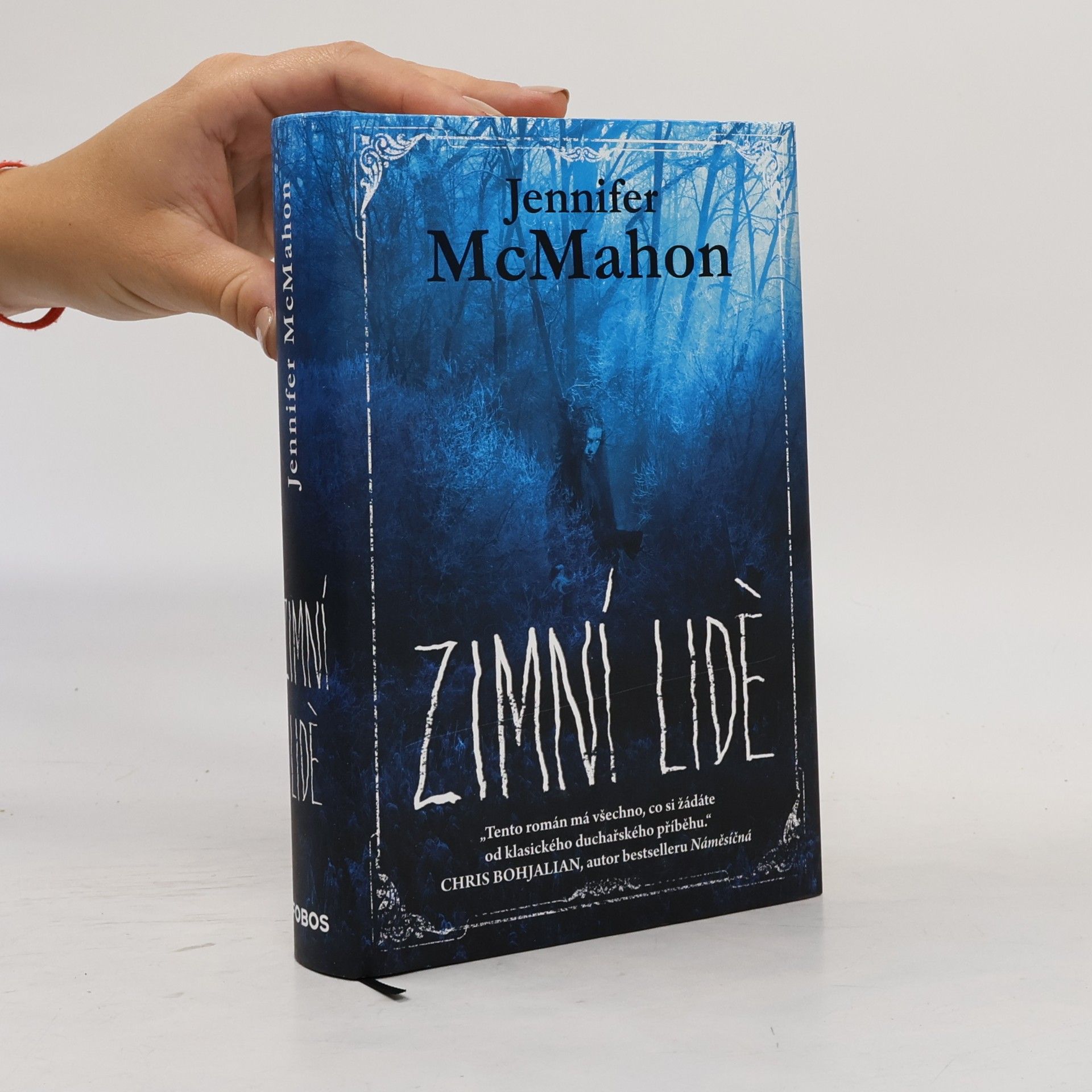 Jennifer McMahon Zimní lidé