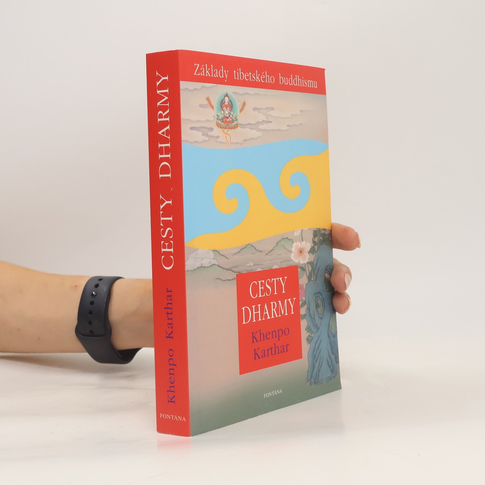 Karthar Cesty dharmy: Základy tibetského buddhismu