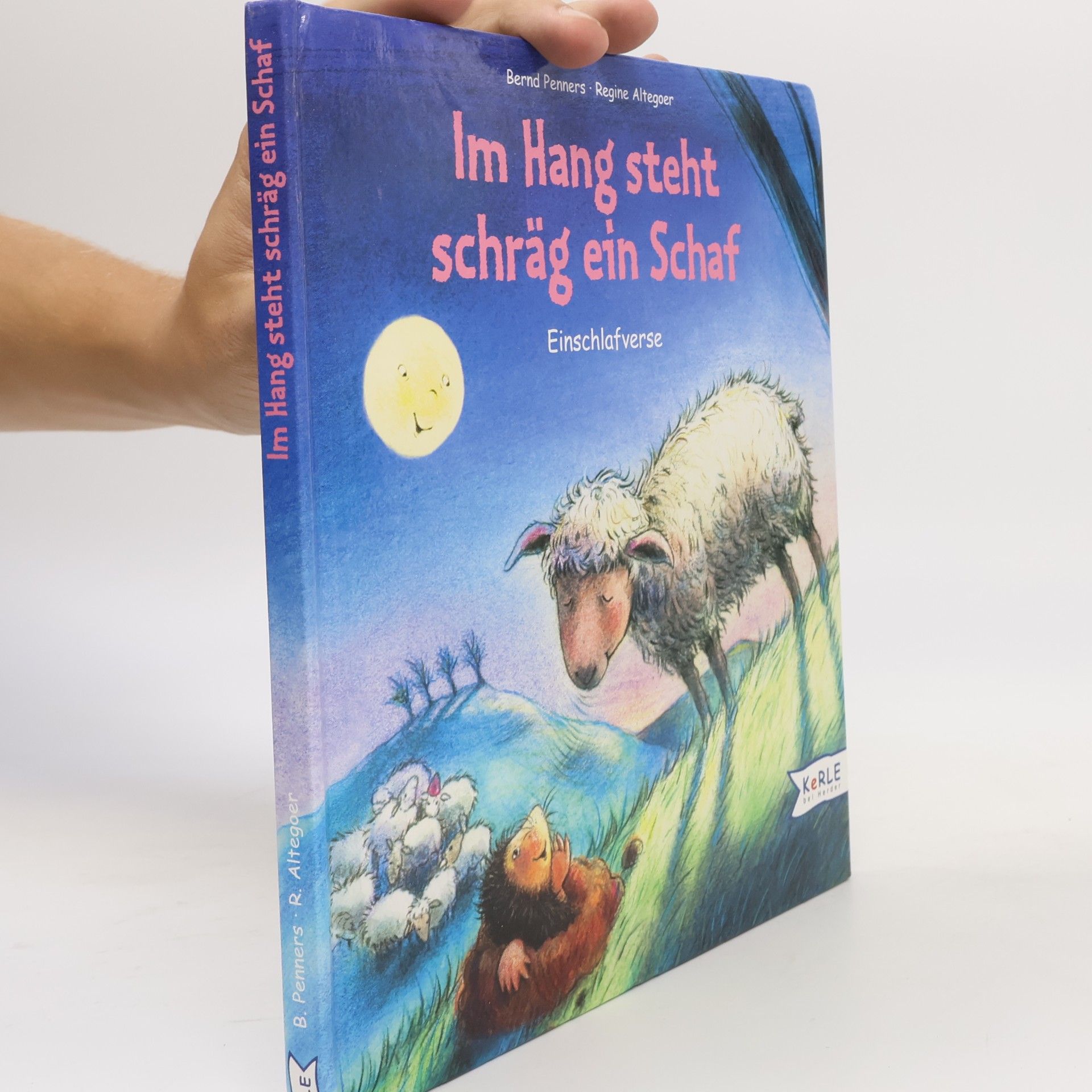 Regine Altegoer Im Hang steht schräg ein Schaf