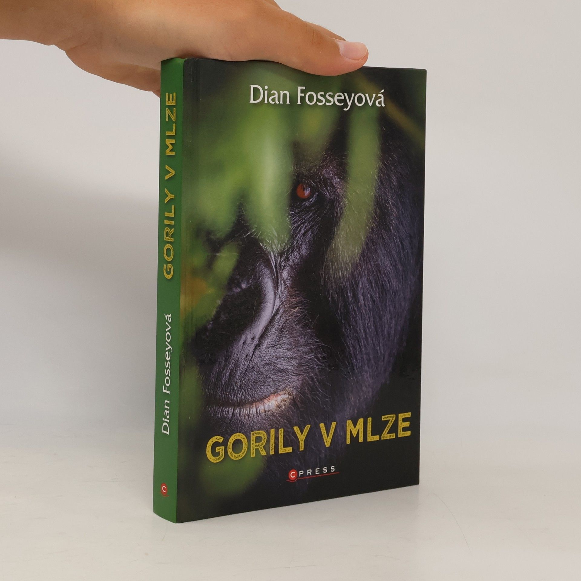 Dian Fossey Gorily v mlze
