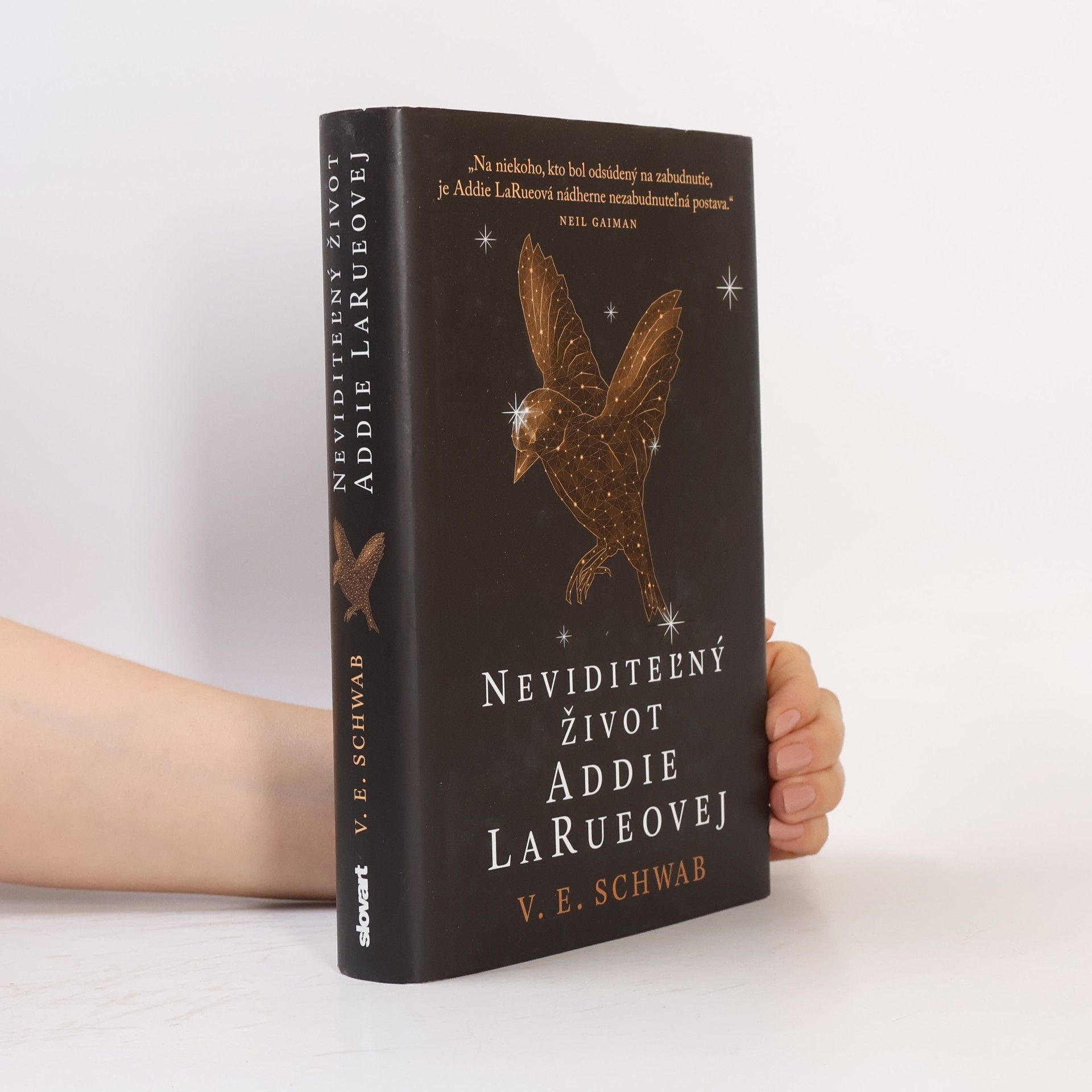 V. E. Schwab Neviditeľný život Addie LaRueovej