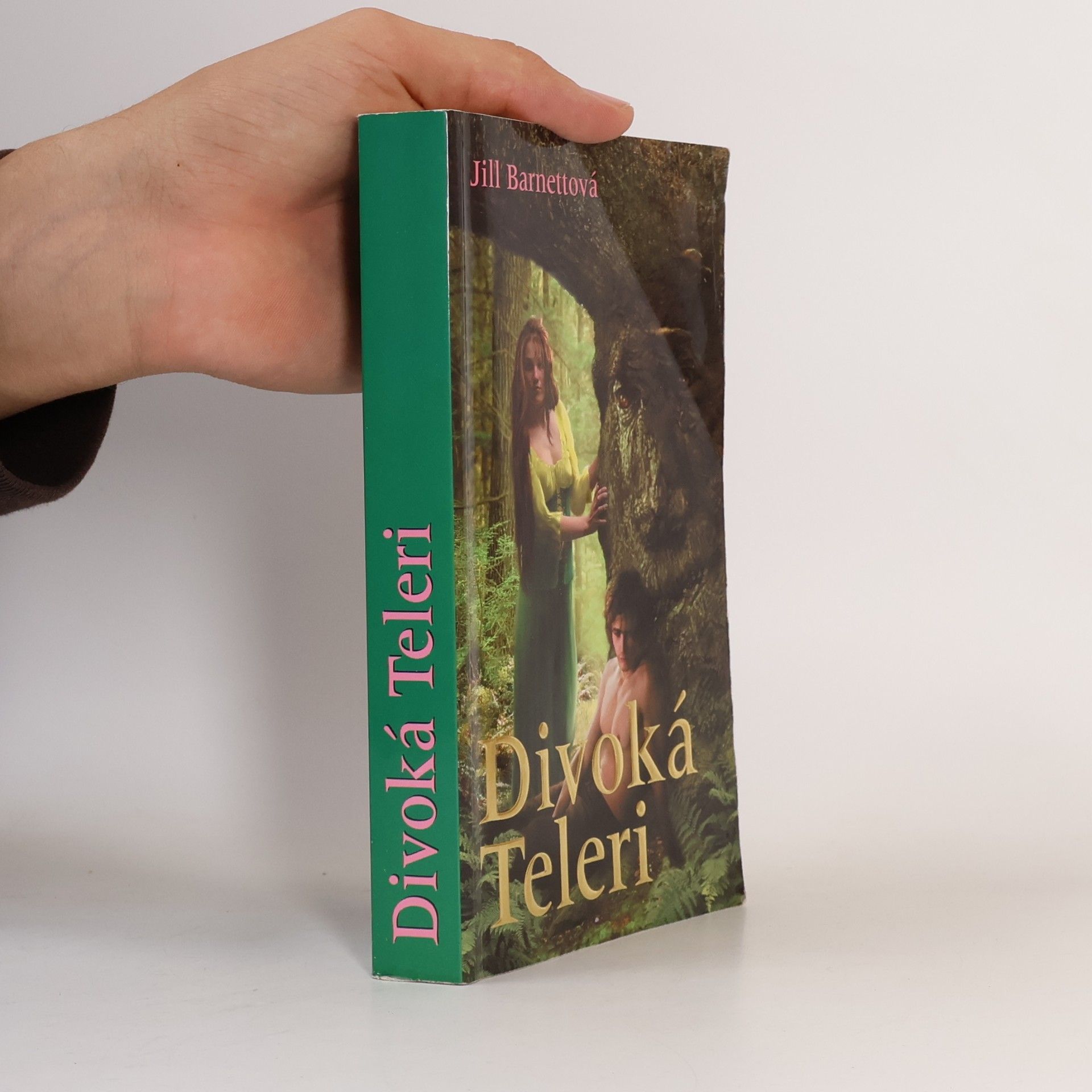 Jill Barnett Divoká Teleri