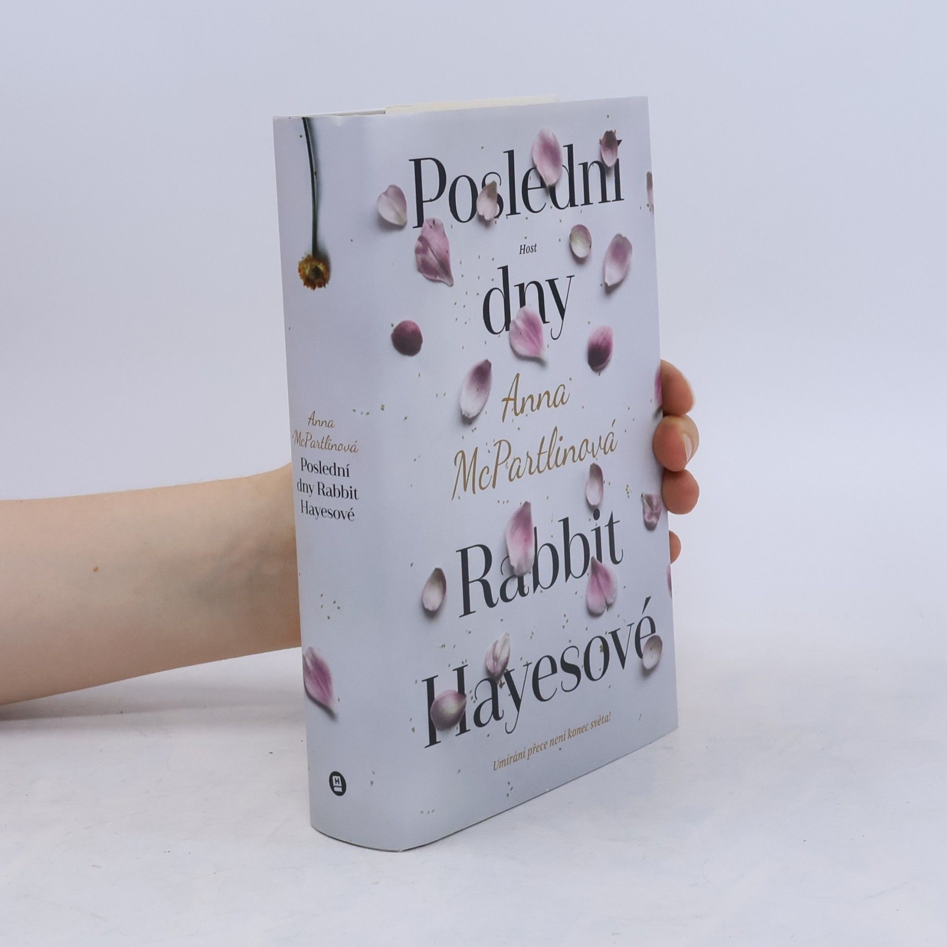 Anna McPartlin Poslední dny Rabbit Hayesové