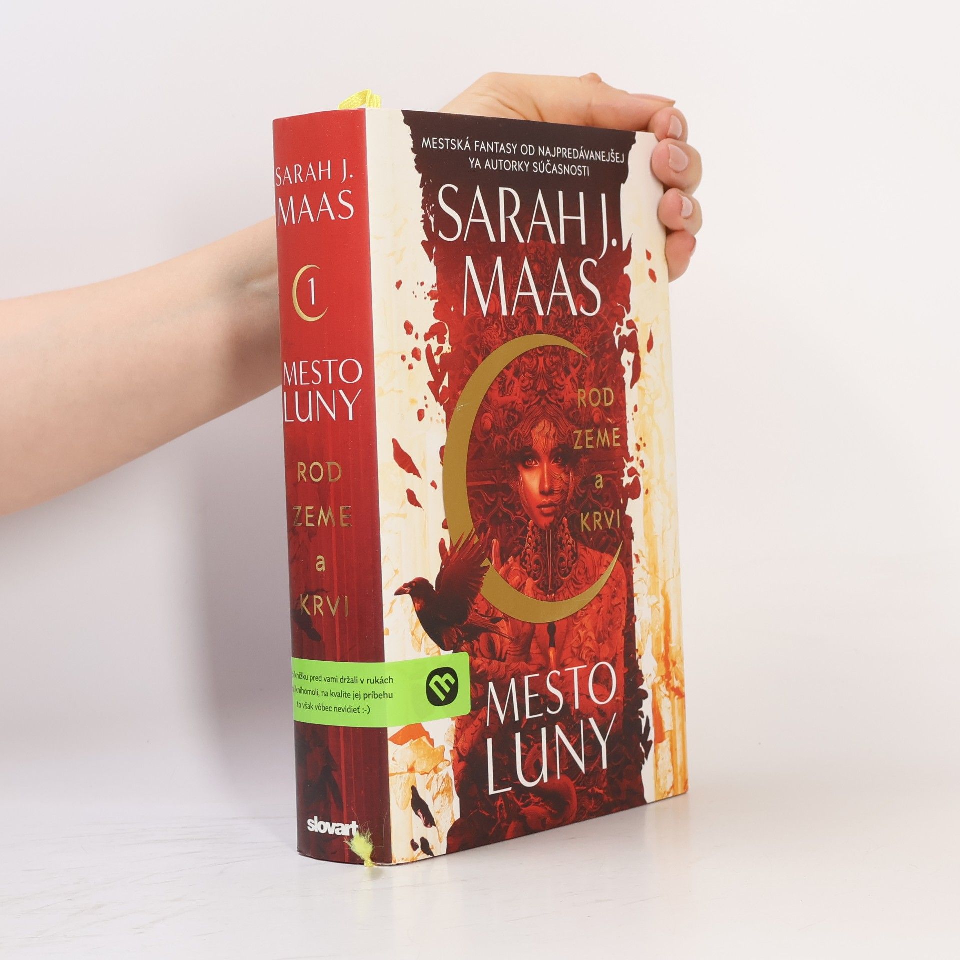Sarah J. Maas Rod zeme a krvi
