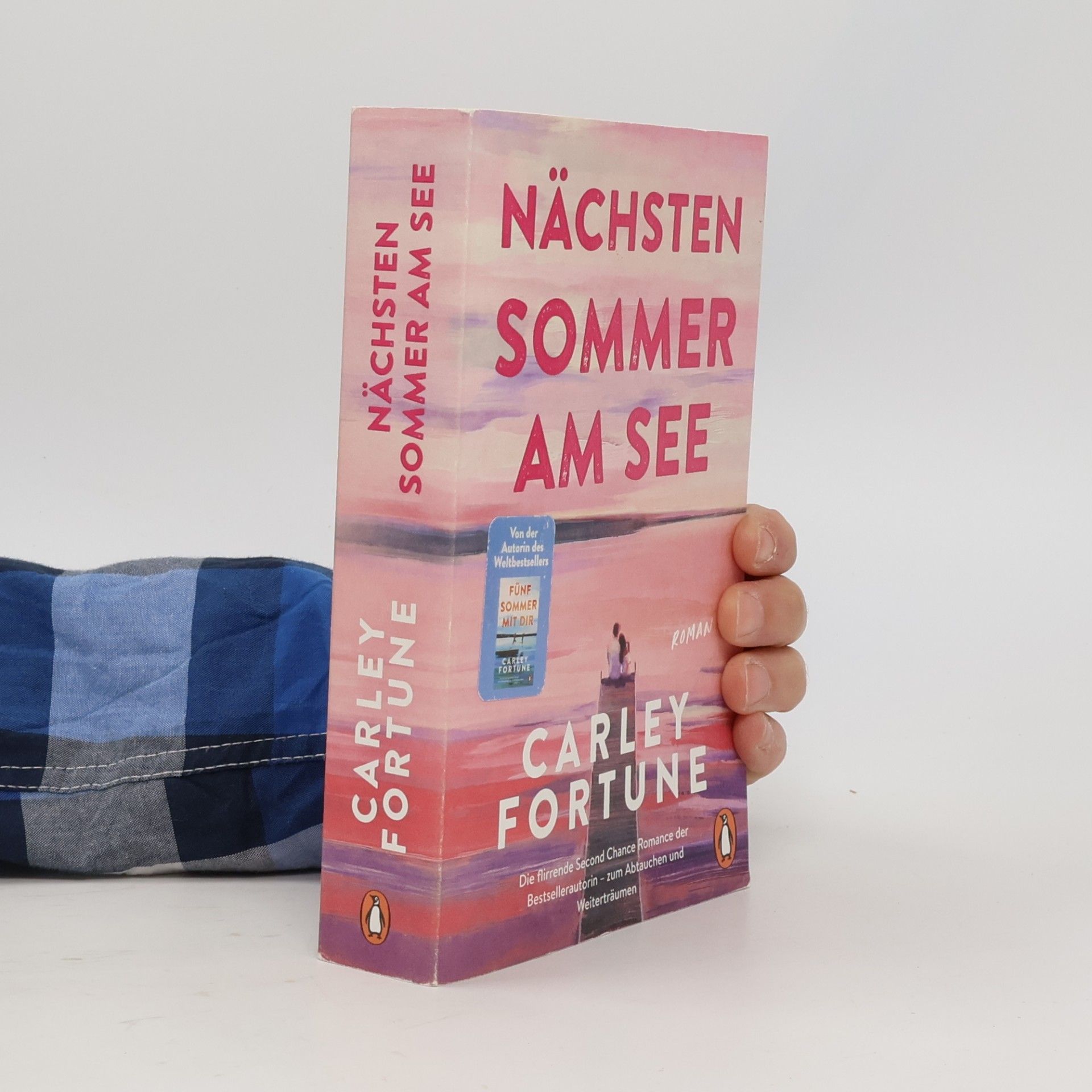 Carley Fortune Nächsten Sommer am See