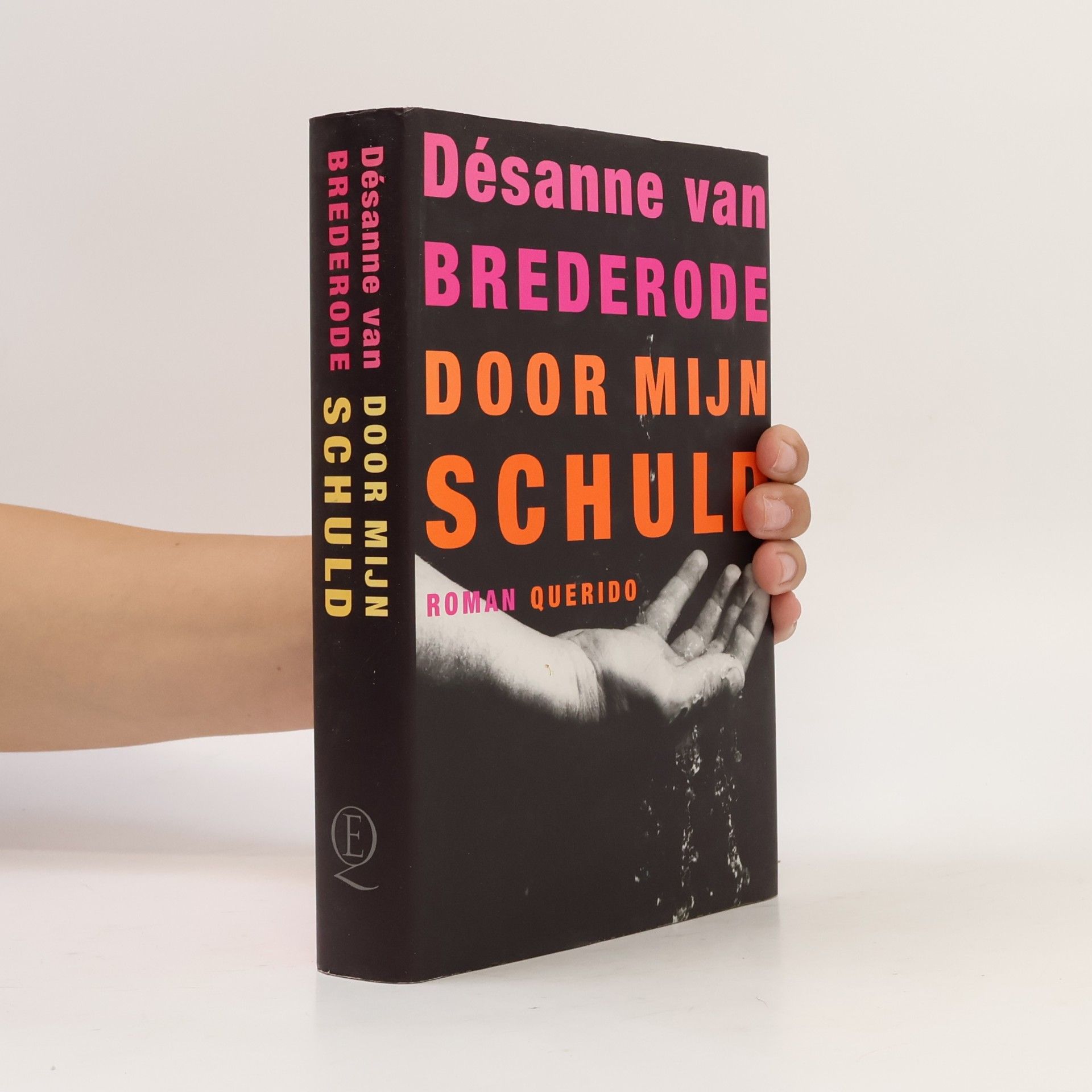 Désanne van Brederode Door mijn schuld