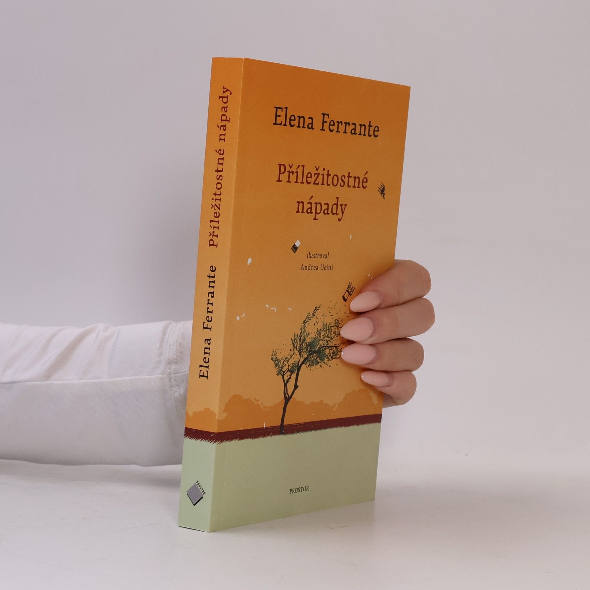 Elena Ferrante Příležitostné nápady