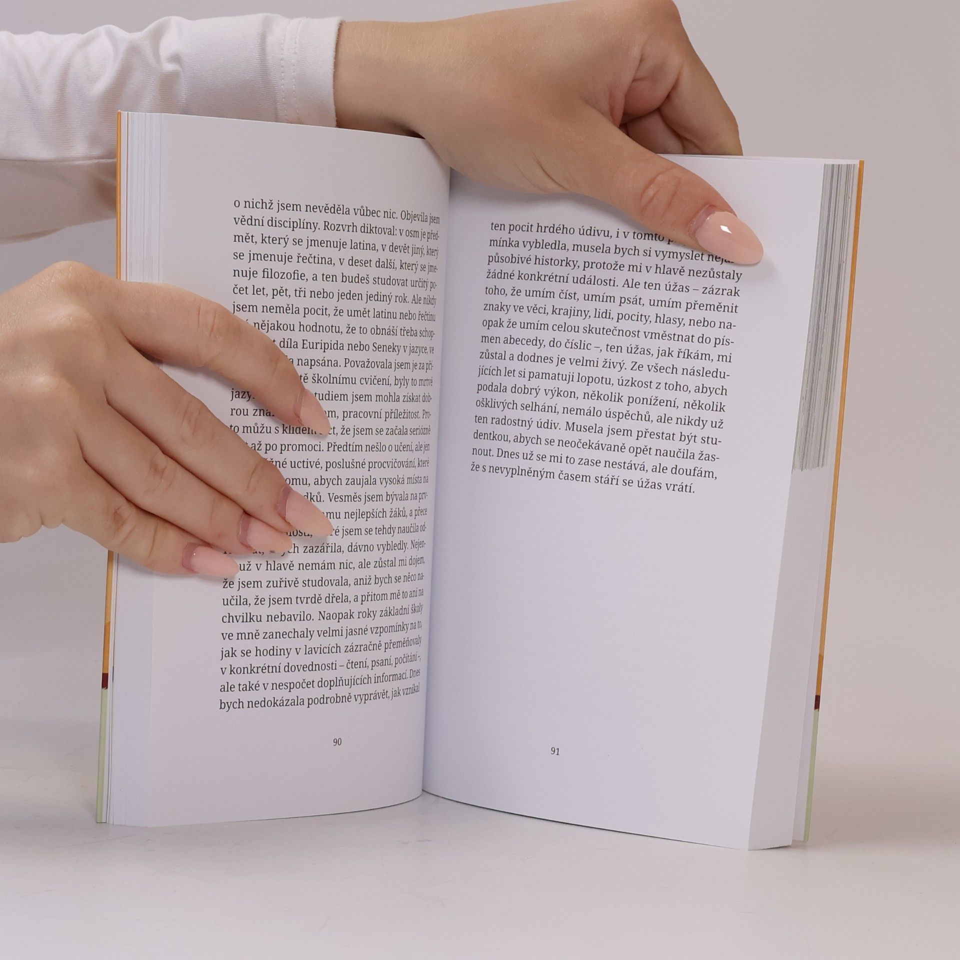 Elena Ferrante Příležitostné nápady