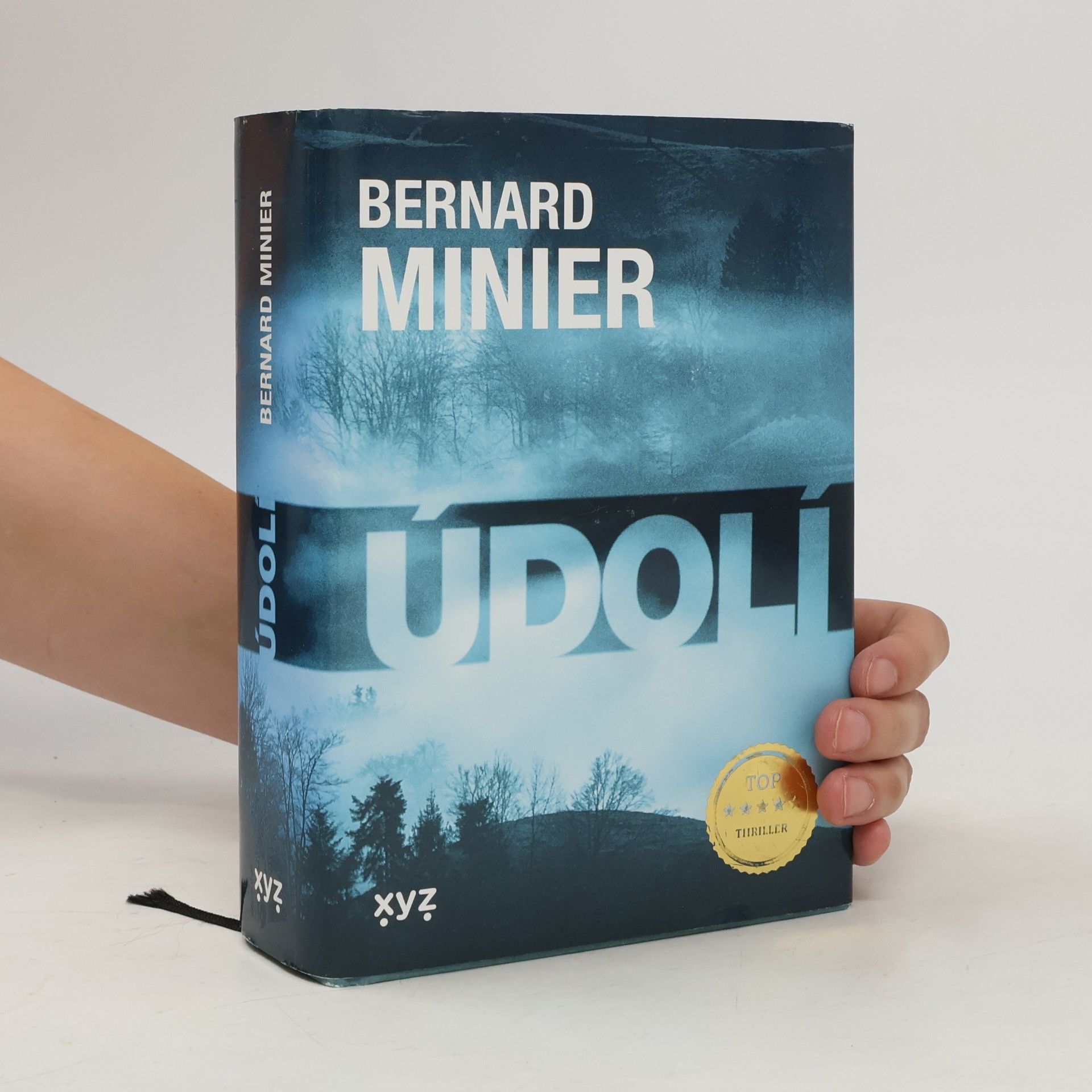 Bernard Minier Údolí
