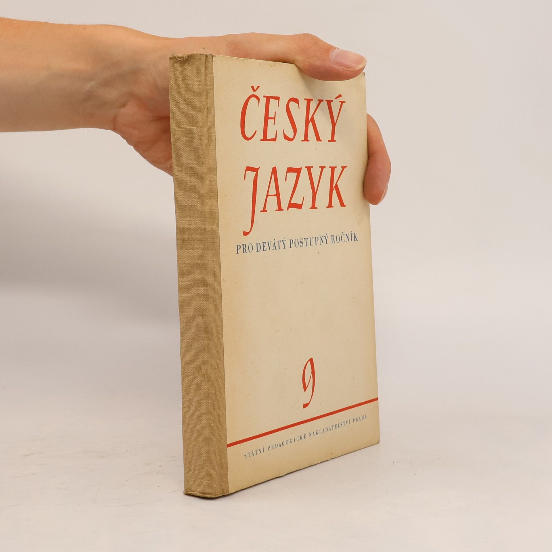 Kolektiv autorů Český jazyk pro desátý postupný ročník