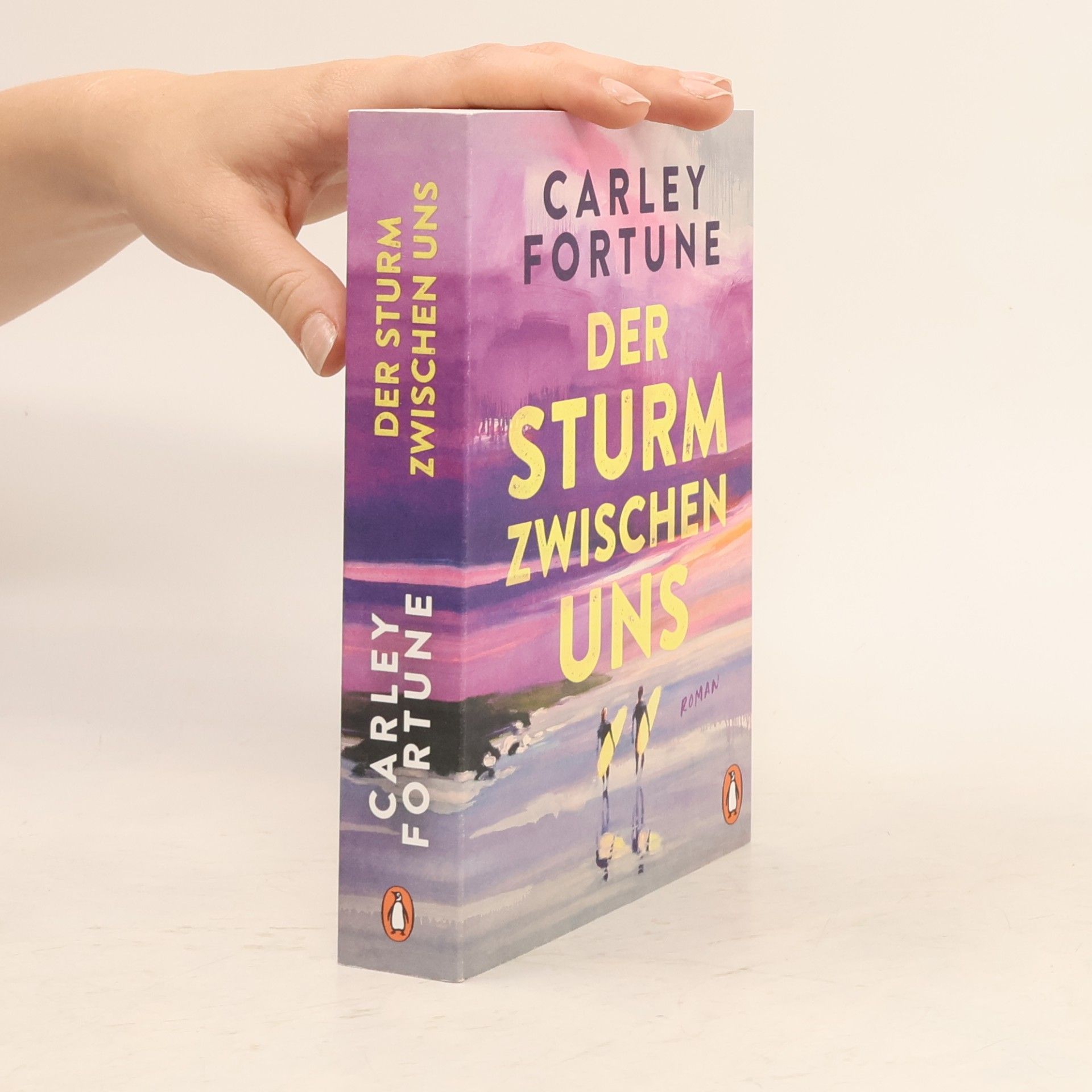 Carley Fortune Der Sturm zwischen uns