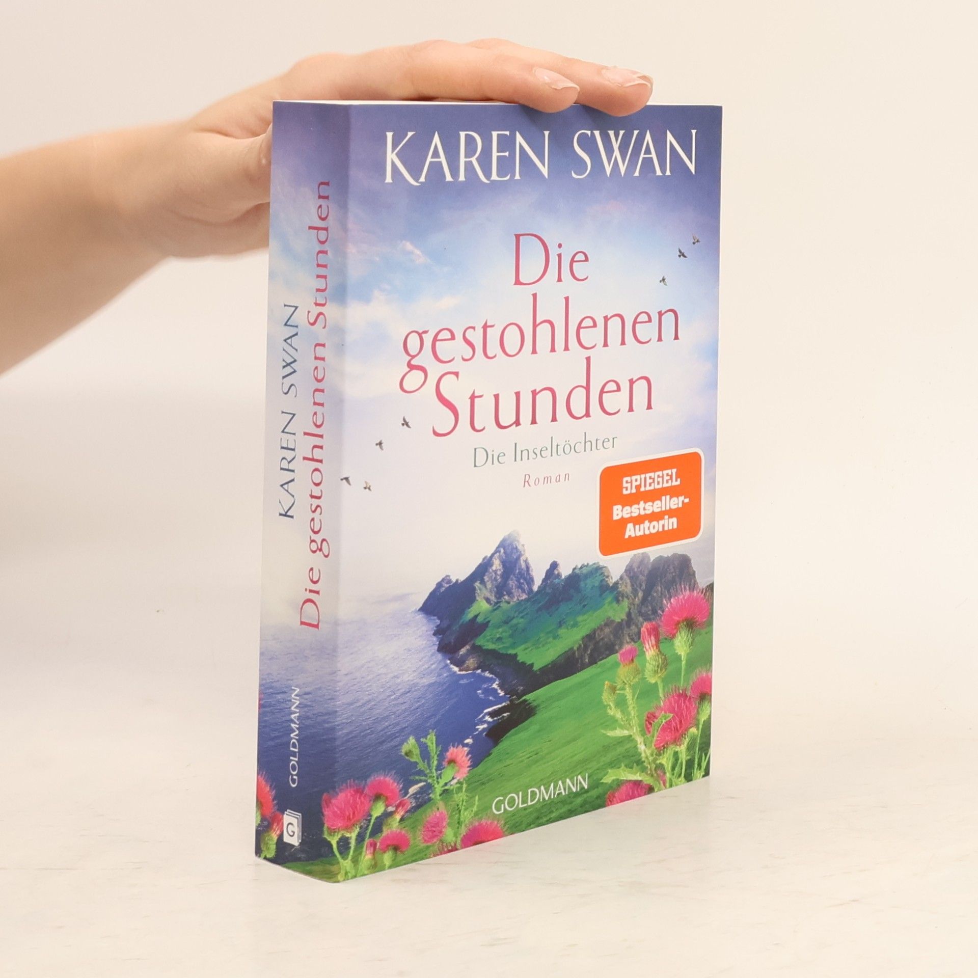 Die Inseltöchter - Die gestohlenen Stunden. Roman