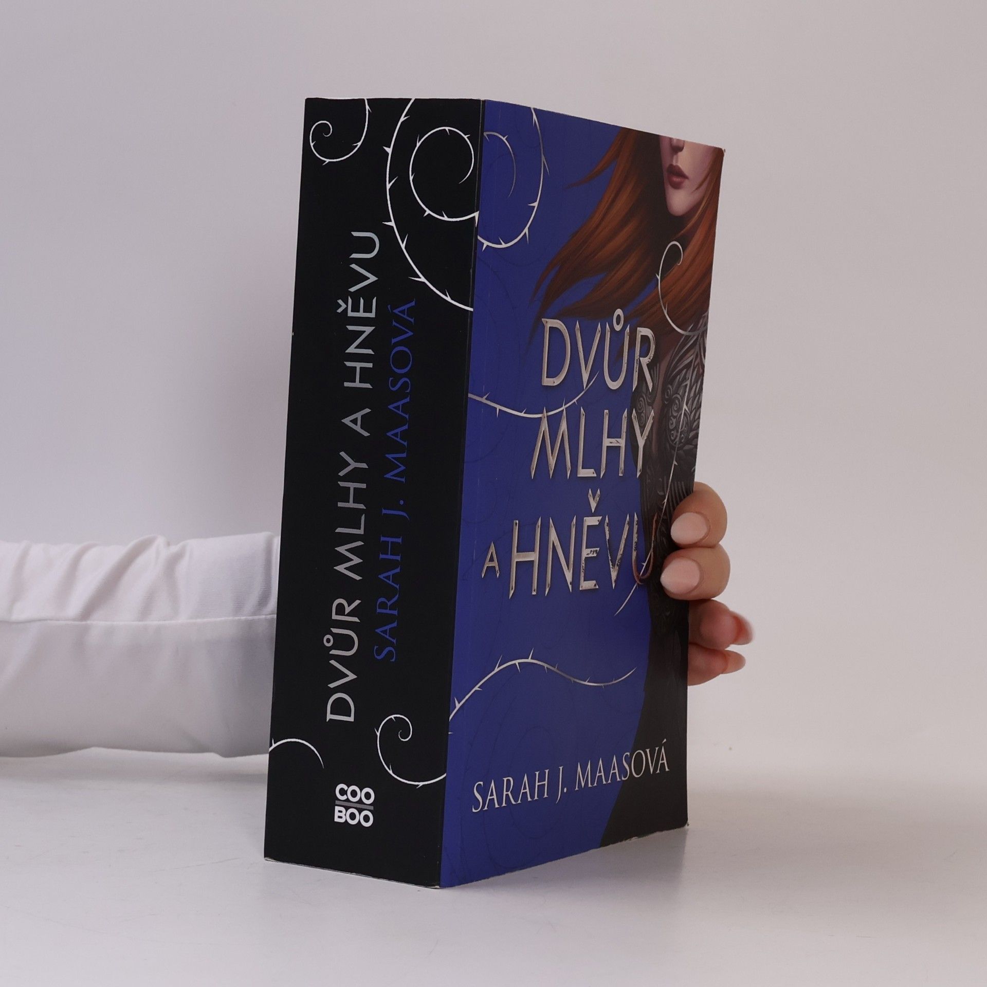 Sarah J. Maas Dvůr mlhy a hněvu