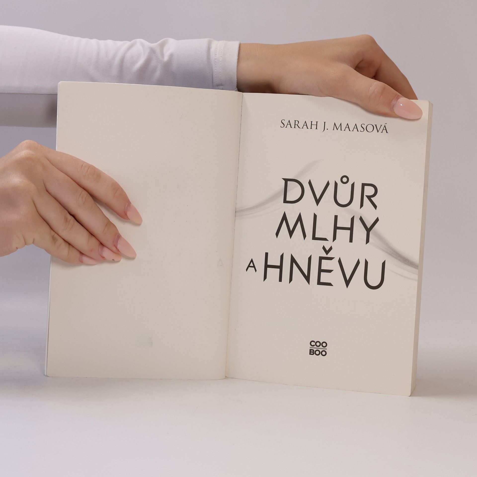 Sarah J. Maas Dvůr mlhy a hněvu
