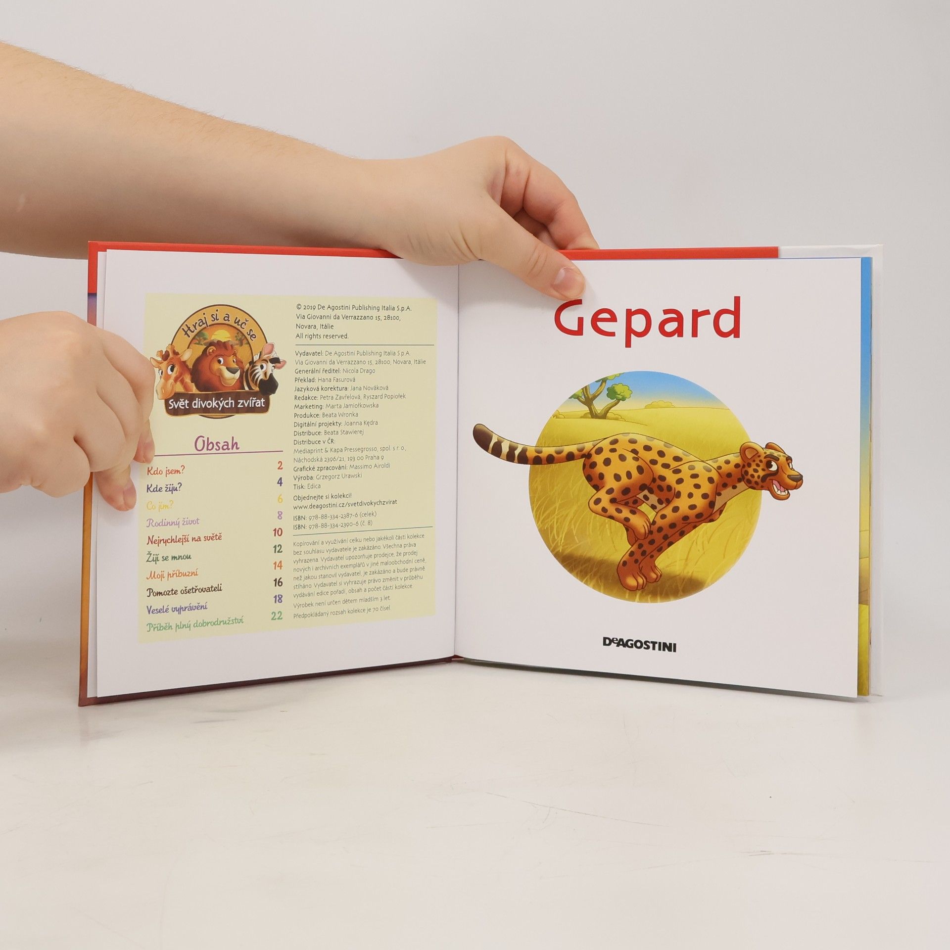 Kolektiv autorů Bydlím v Savaně 8. Gepard