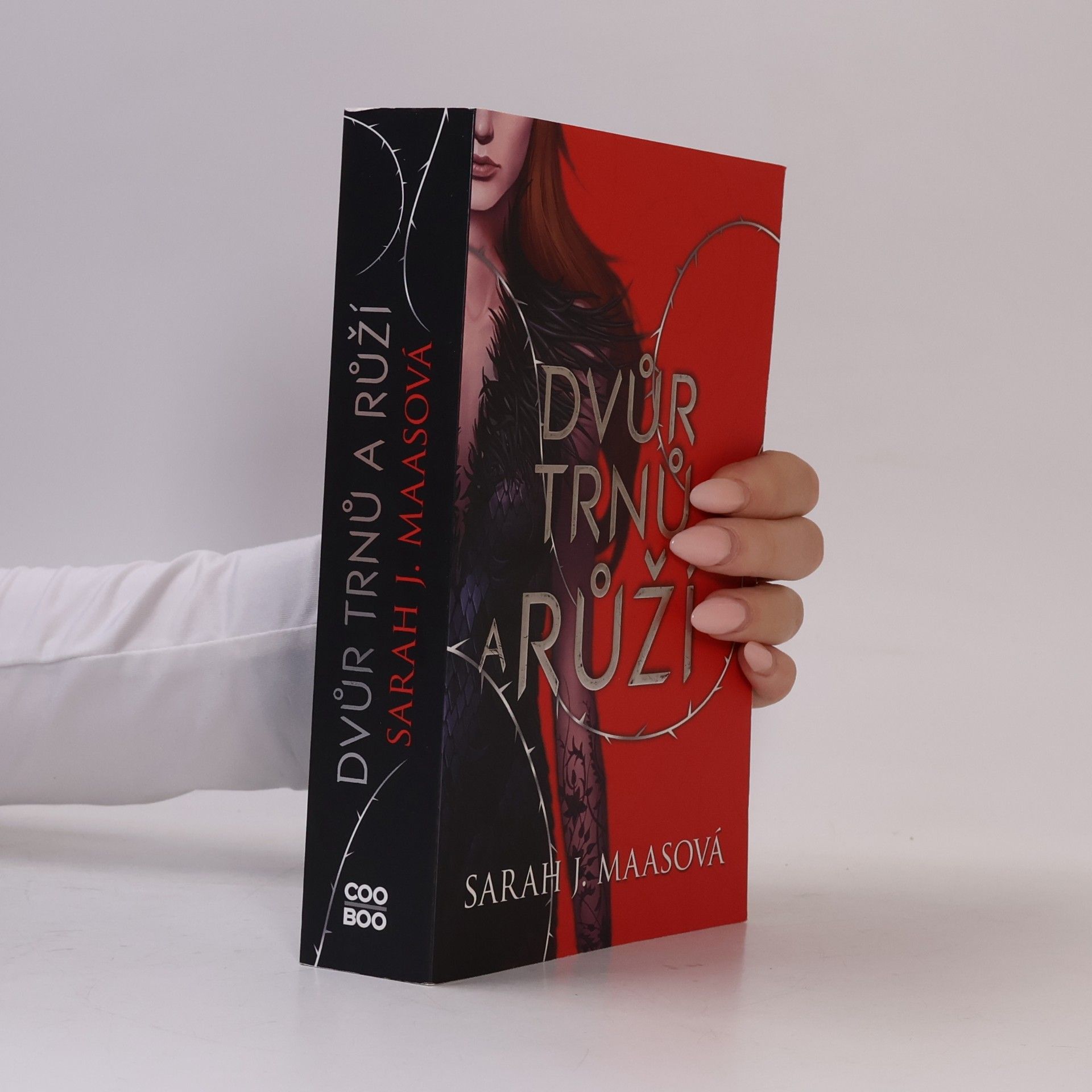 Sarah J. Maas Dvůr trnů a růží