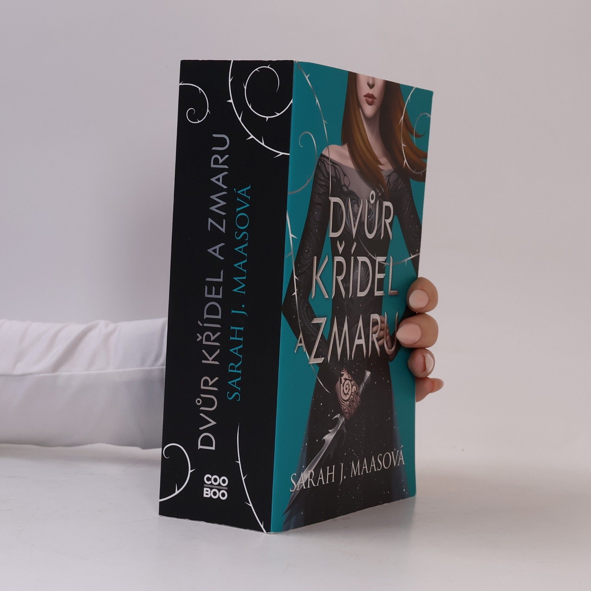 Sarah J. Maasová Dvůr křídel a zmaru
