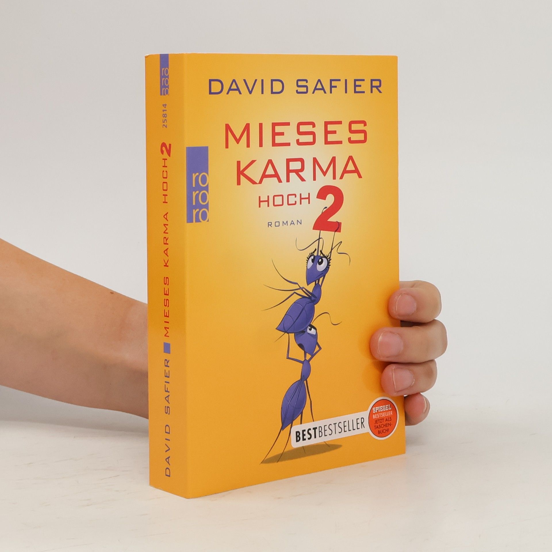 David Safier Mieses Karma hoch 2