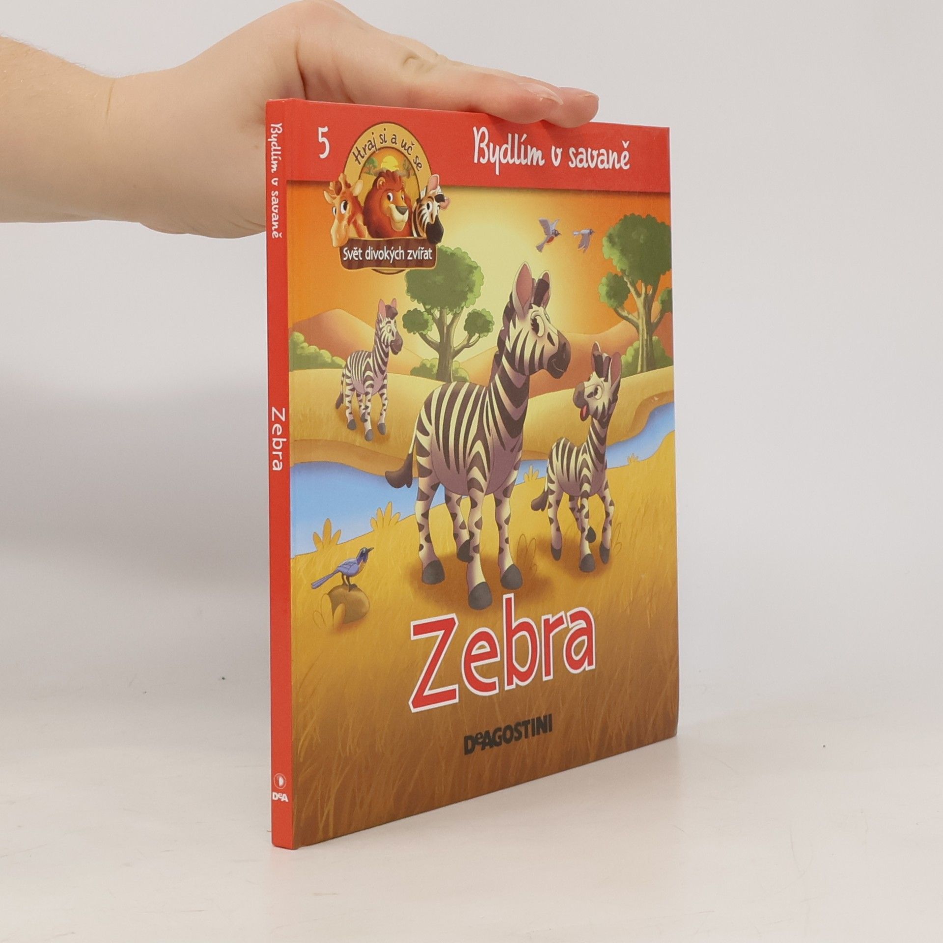 Autorenkollektiv Bydlím v savaně 5. Zebra