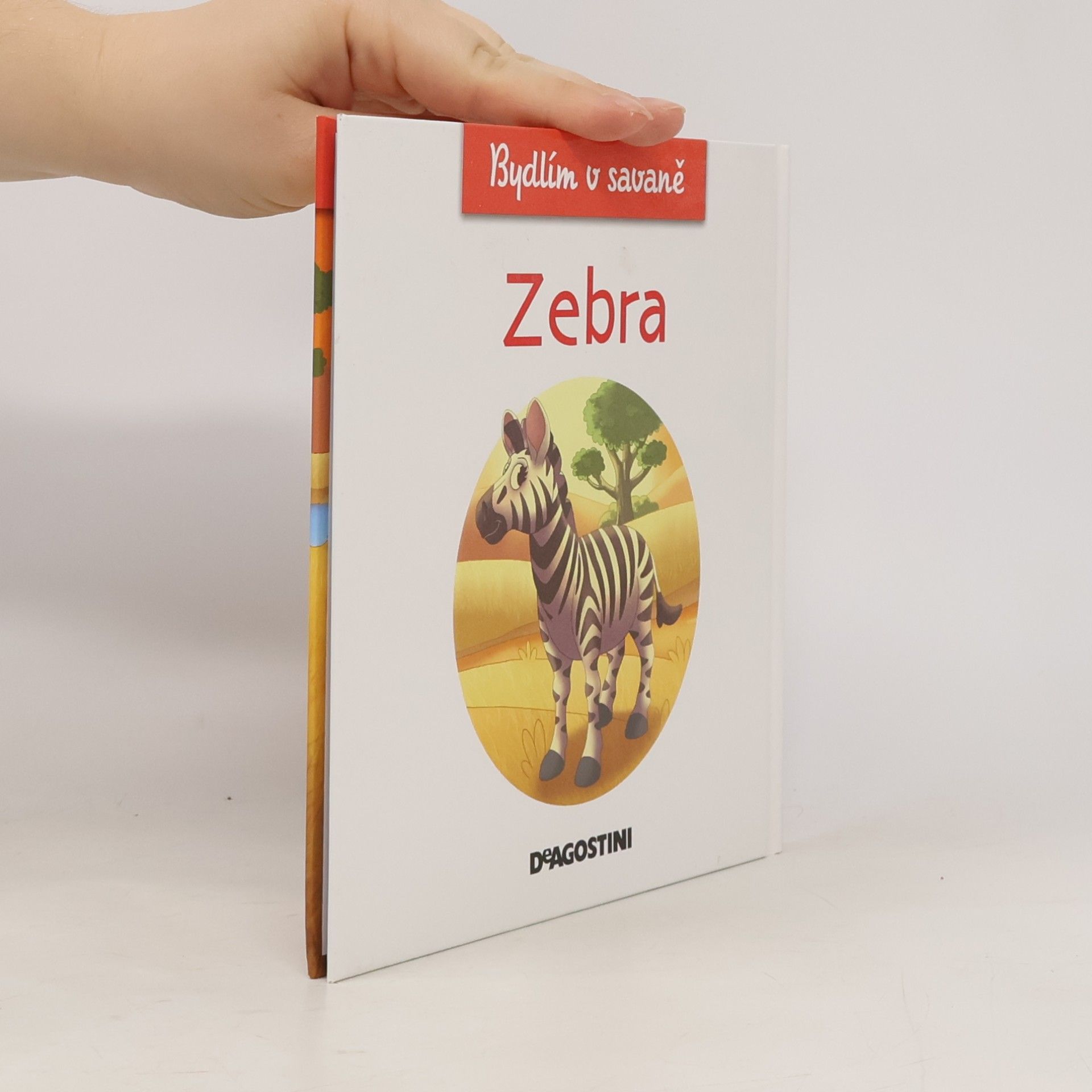 Collectif d'auteurs Bydlím v savaně 5. Zebra