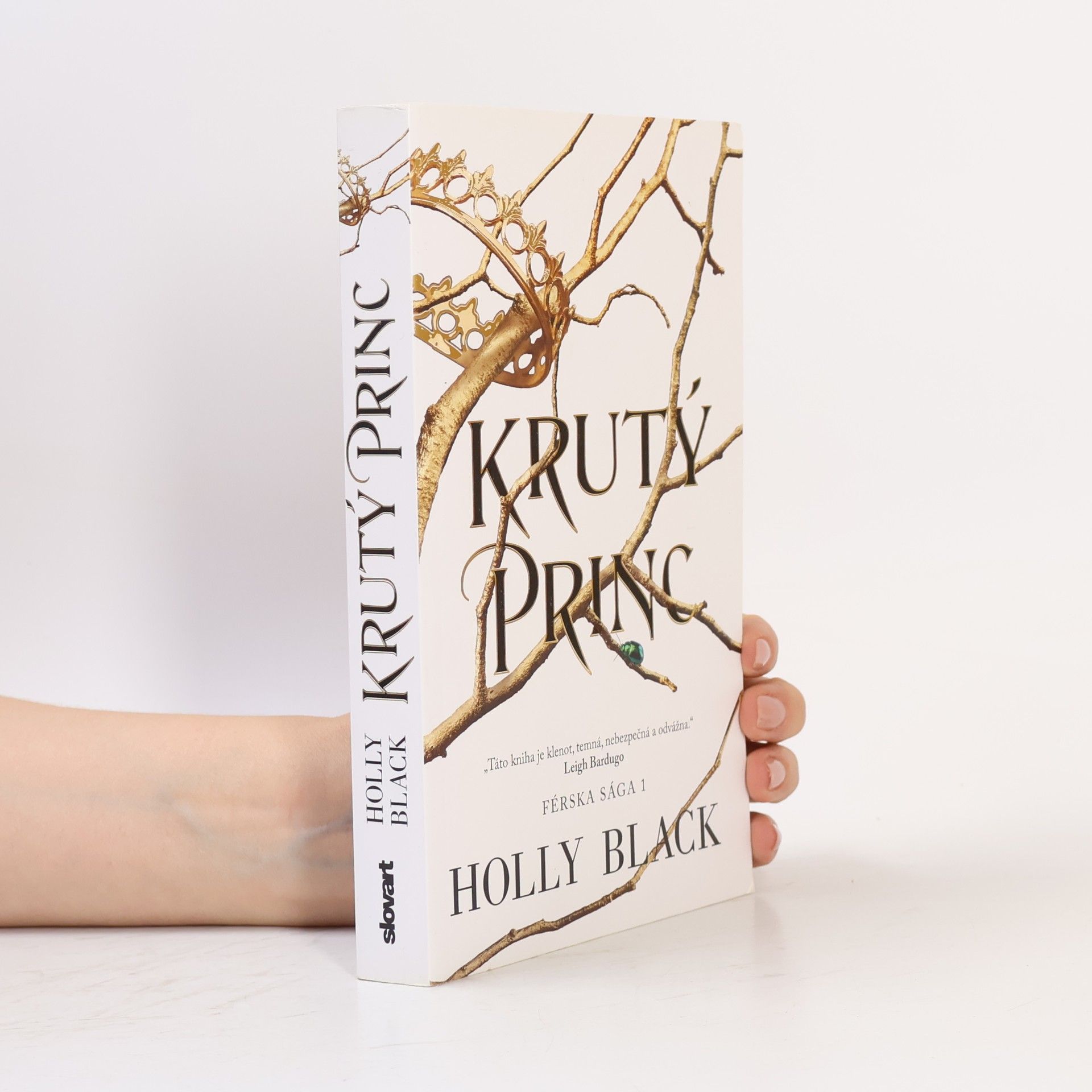 Holly Black Krutý princ