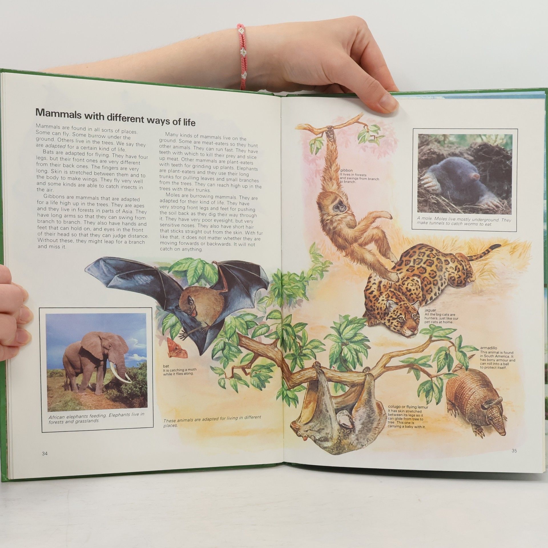 Various authors My Own Nature Encyclopedia