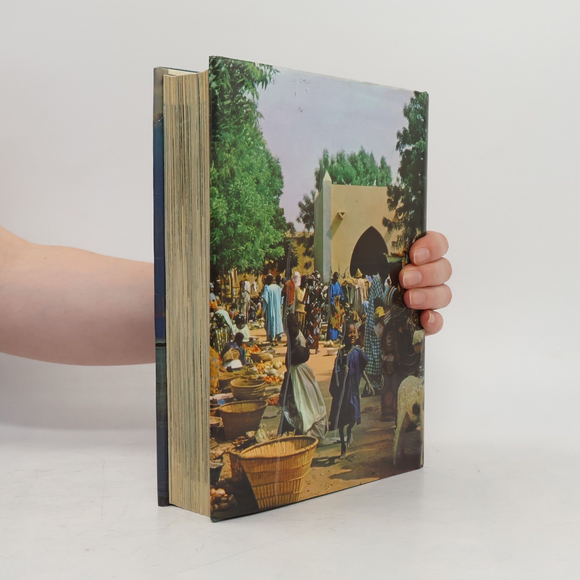 The Children's Picture Atlas in Colour: Revised Edition